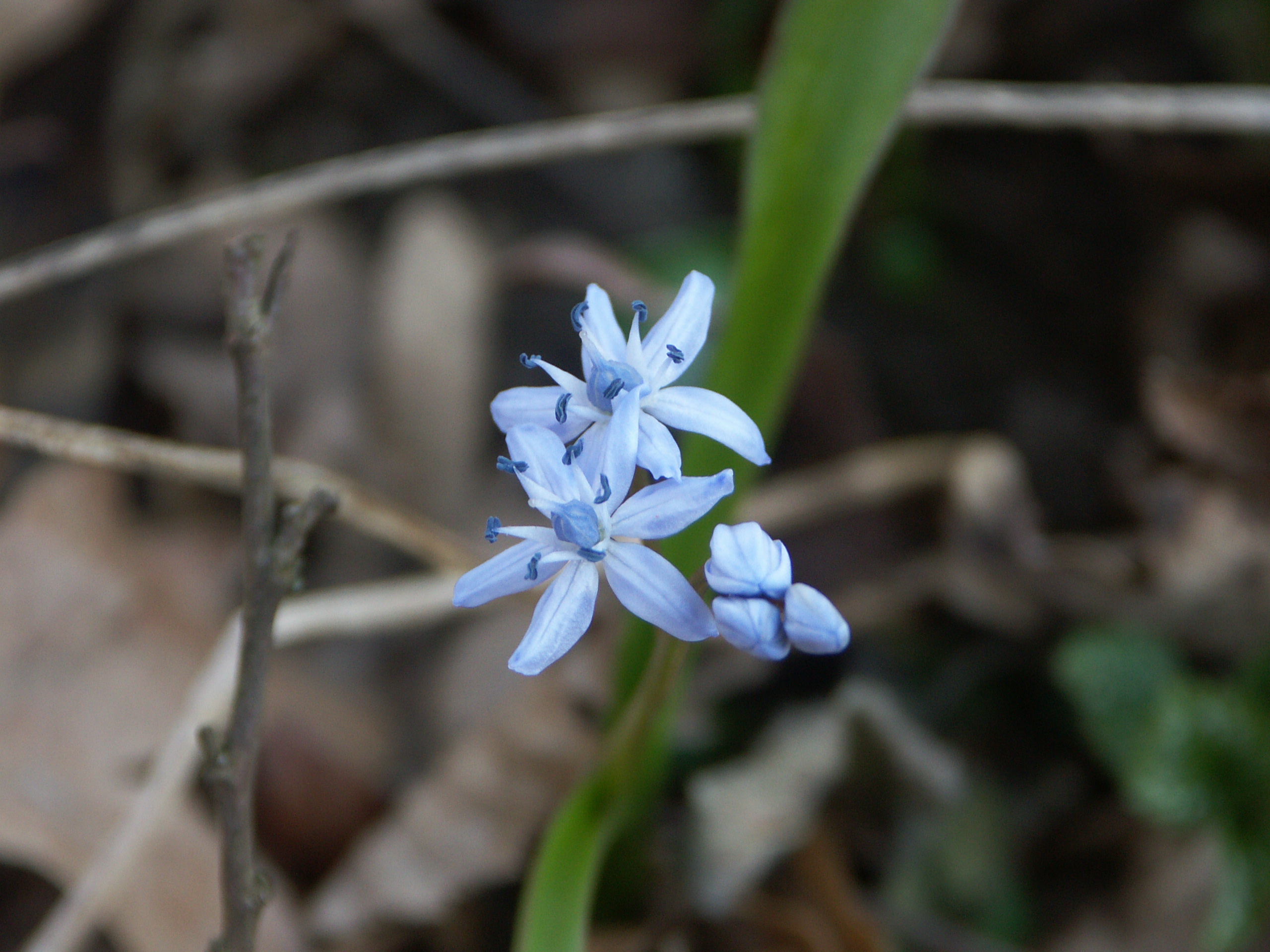 15122013143709 2231 art 1222 pict0930