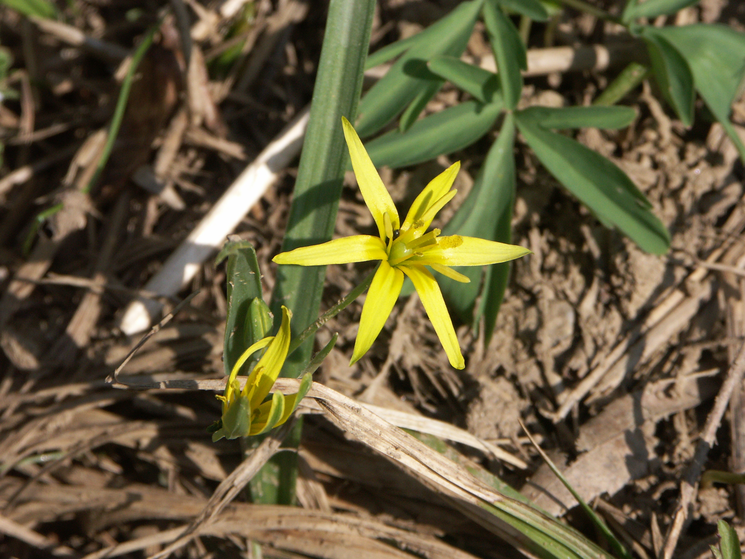 15122013145021 2233 art 239 pict1053