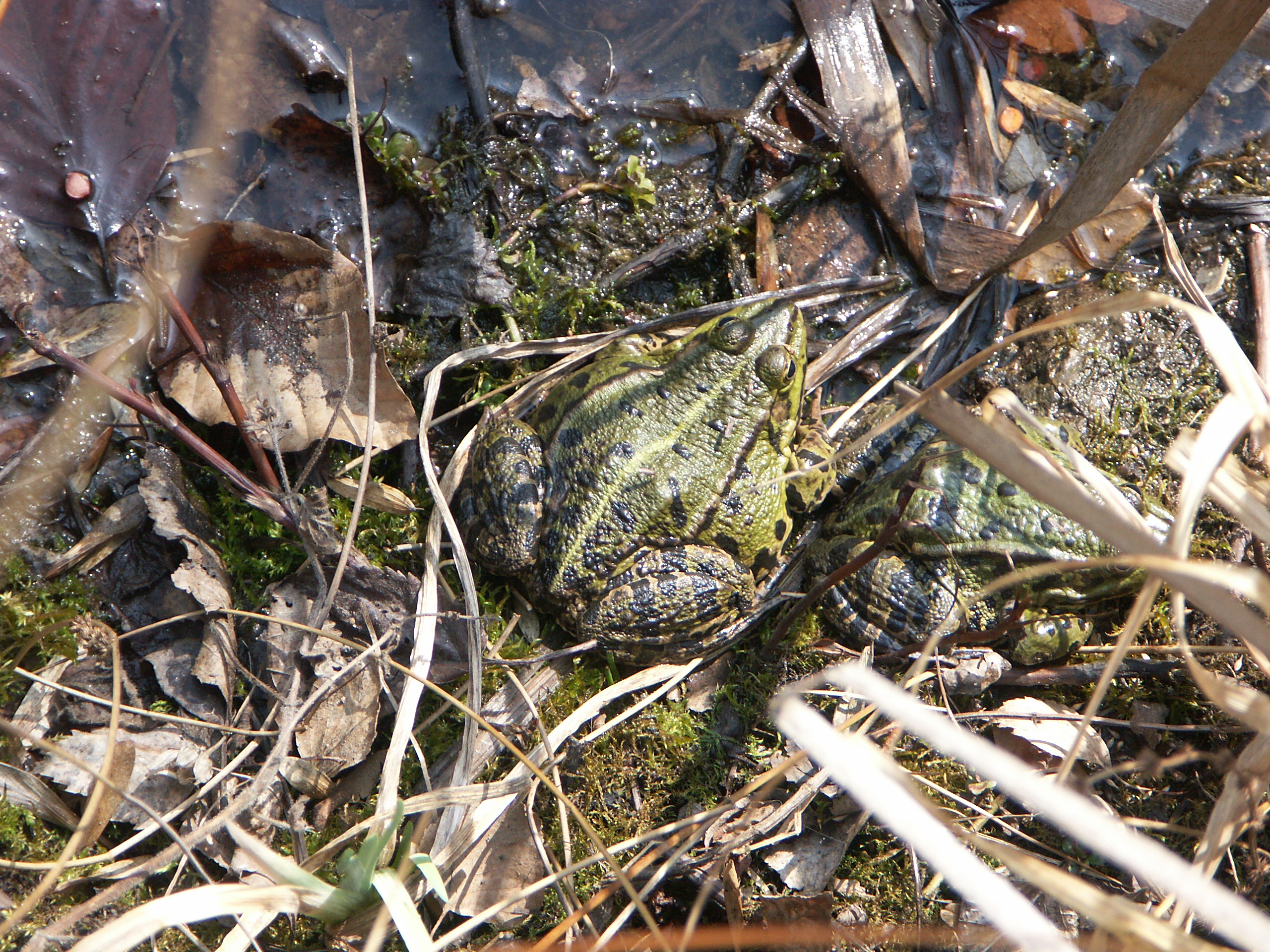 15122013151900 2237 art 1014 pict1016