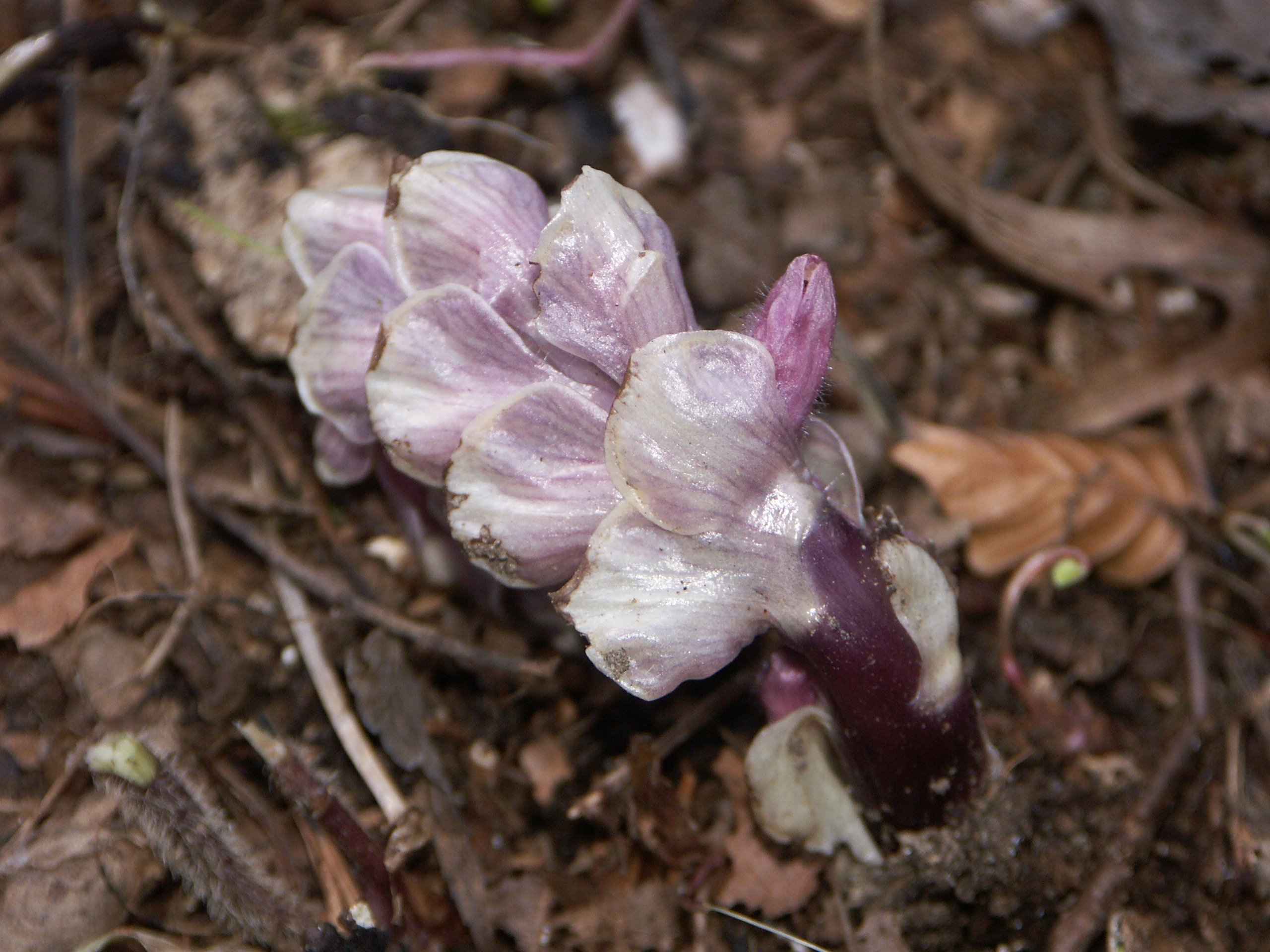 15122013161618 2241 art 273 pict0121