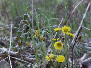 15122013161905 2242 art 1111 pict0082