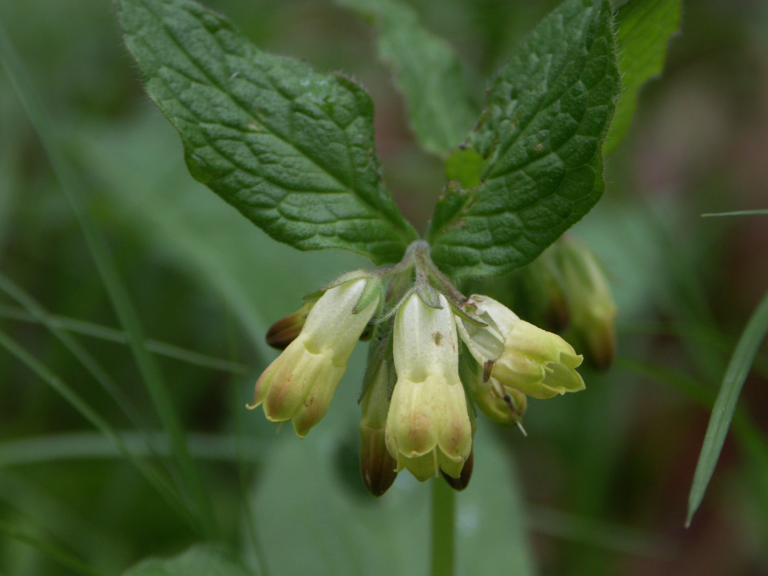 15122013231247 2248 art 1432 pict0015