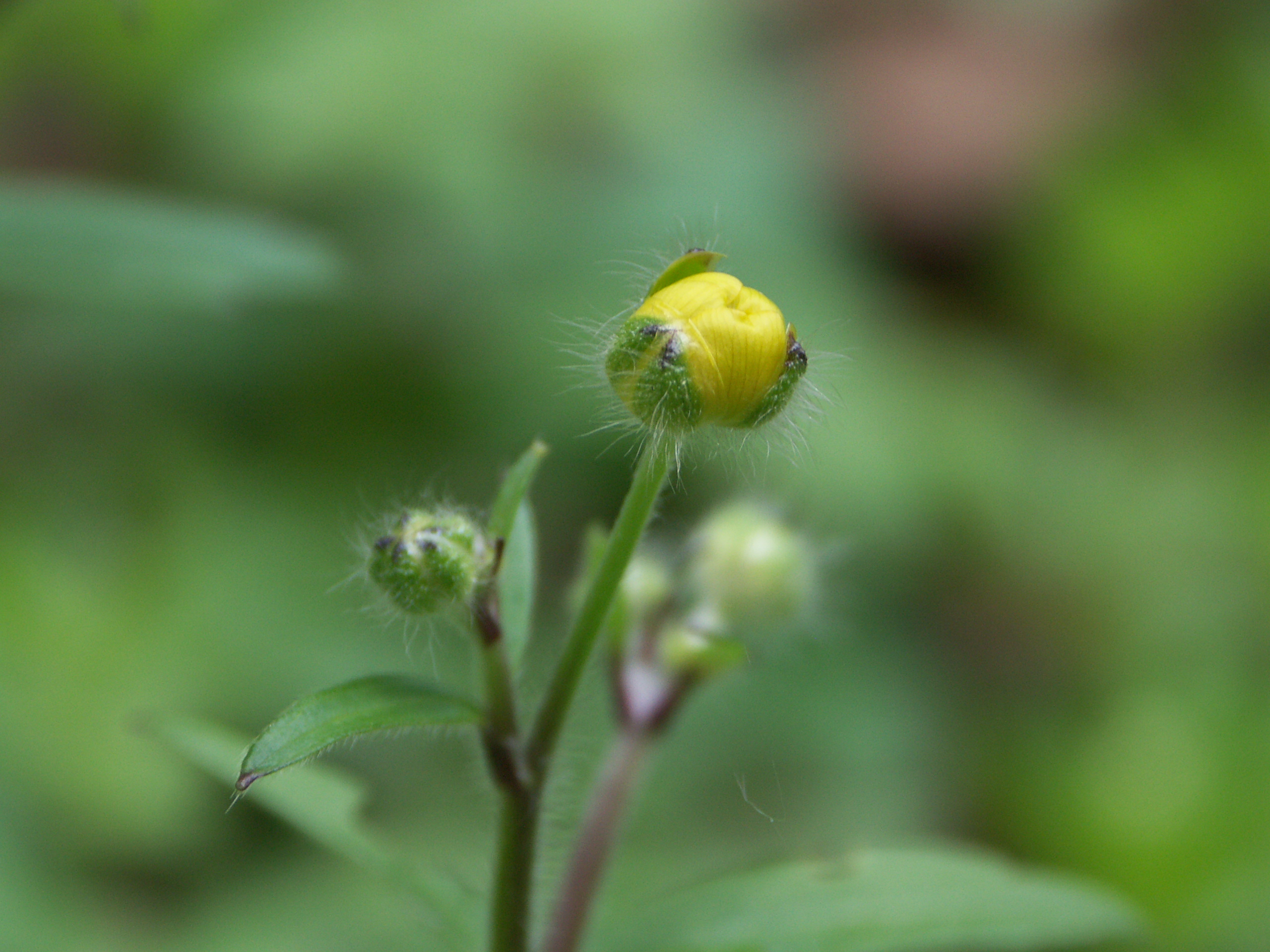 15122013232223 2249 art 1433 pict0018