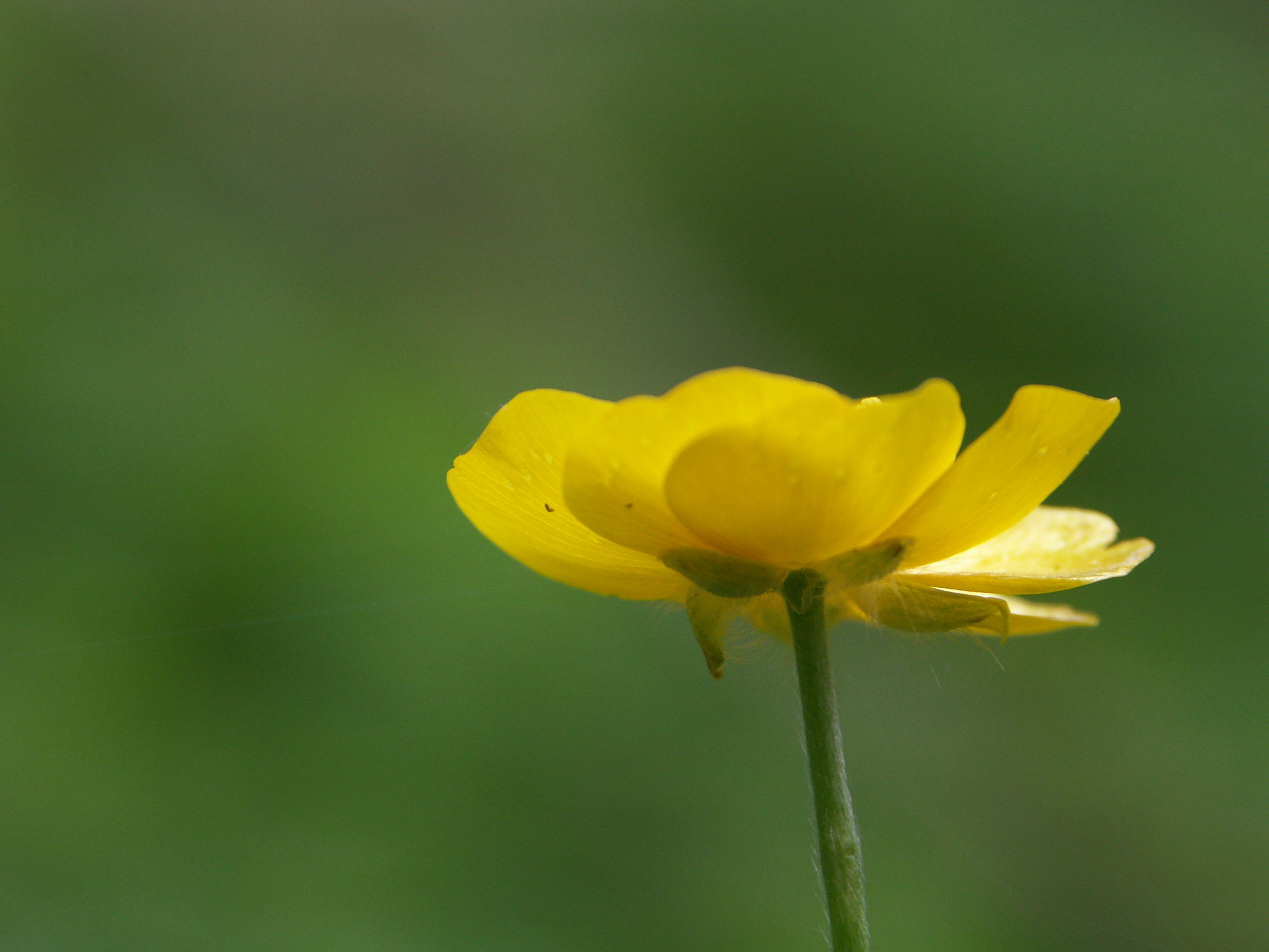 15122013232334 2250 art 1433 pict0021