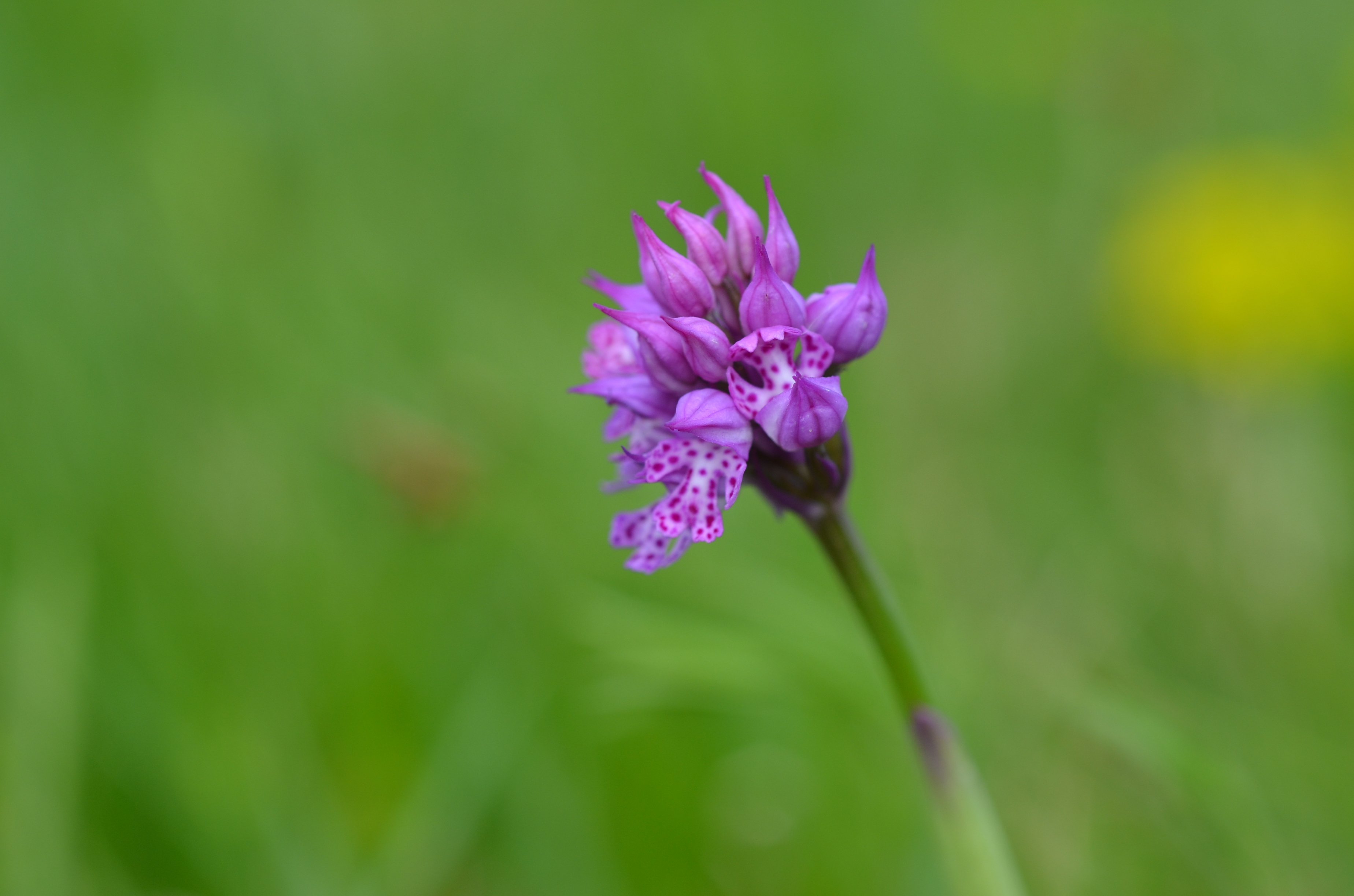 16042014171456 2300 art 1455 dsc 3418