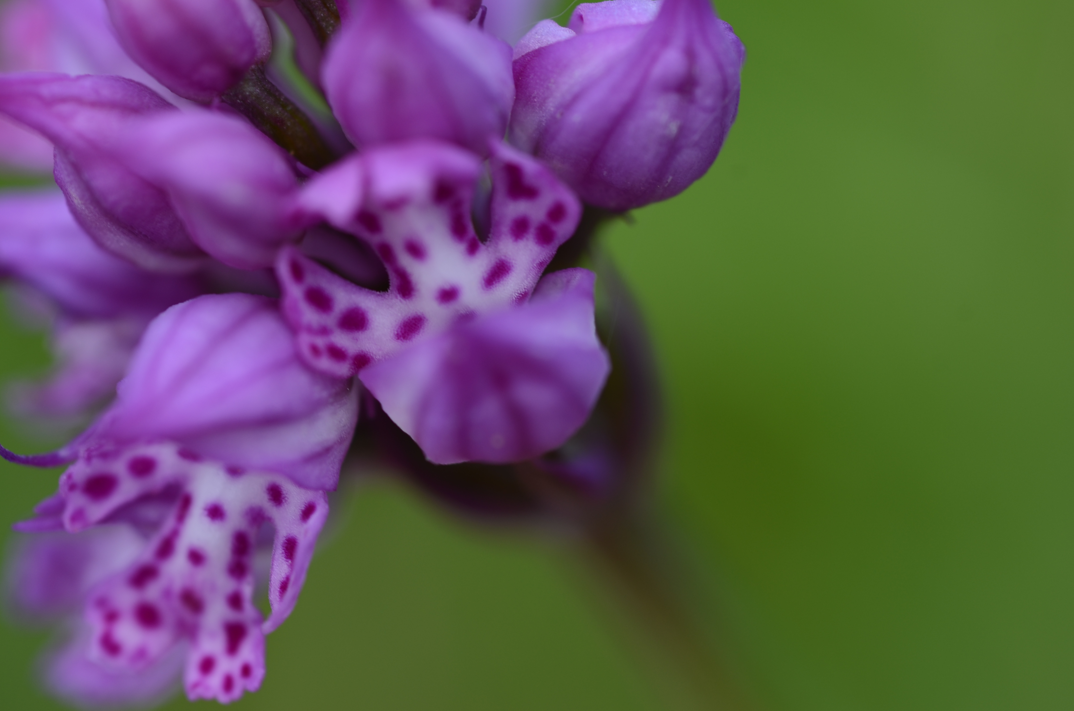 16042014171641 2301 art 1455 dsc 3423