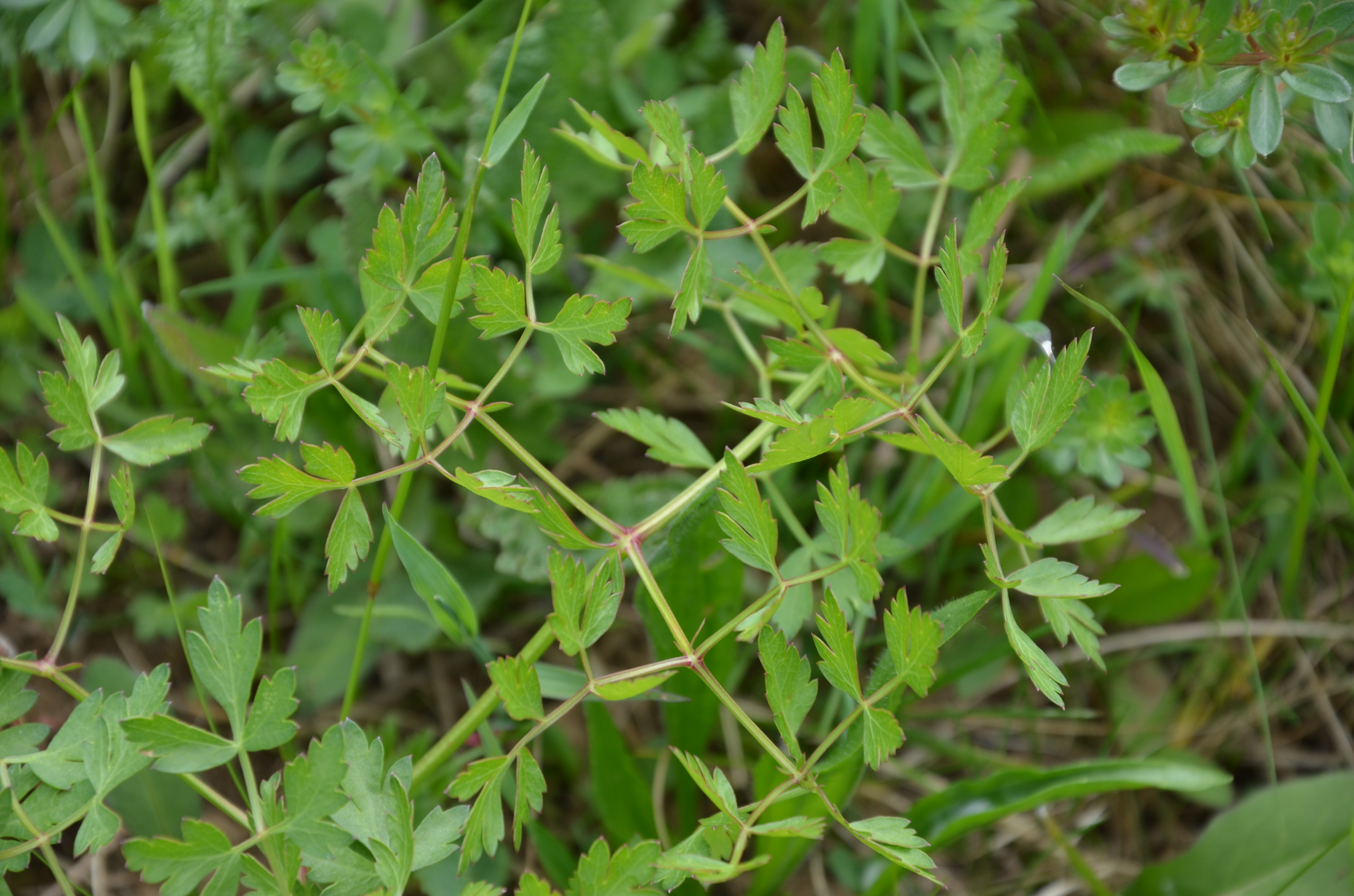 16042014172522 2302 art 468 dsc 3379