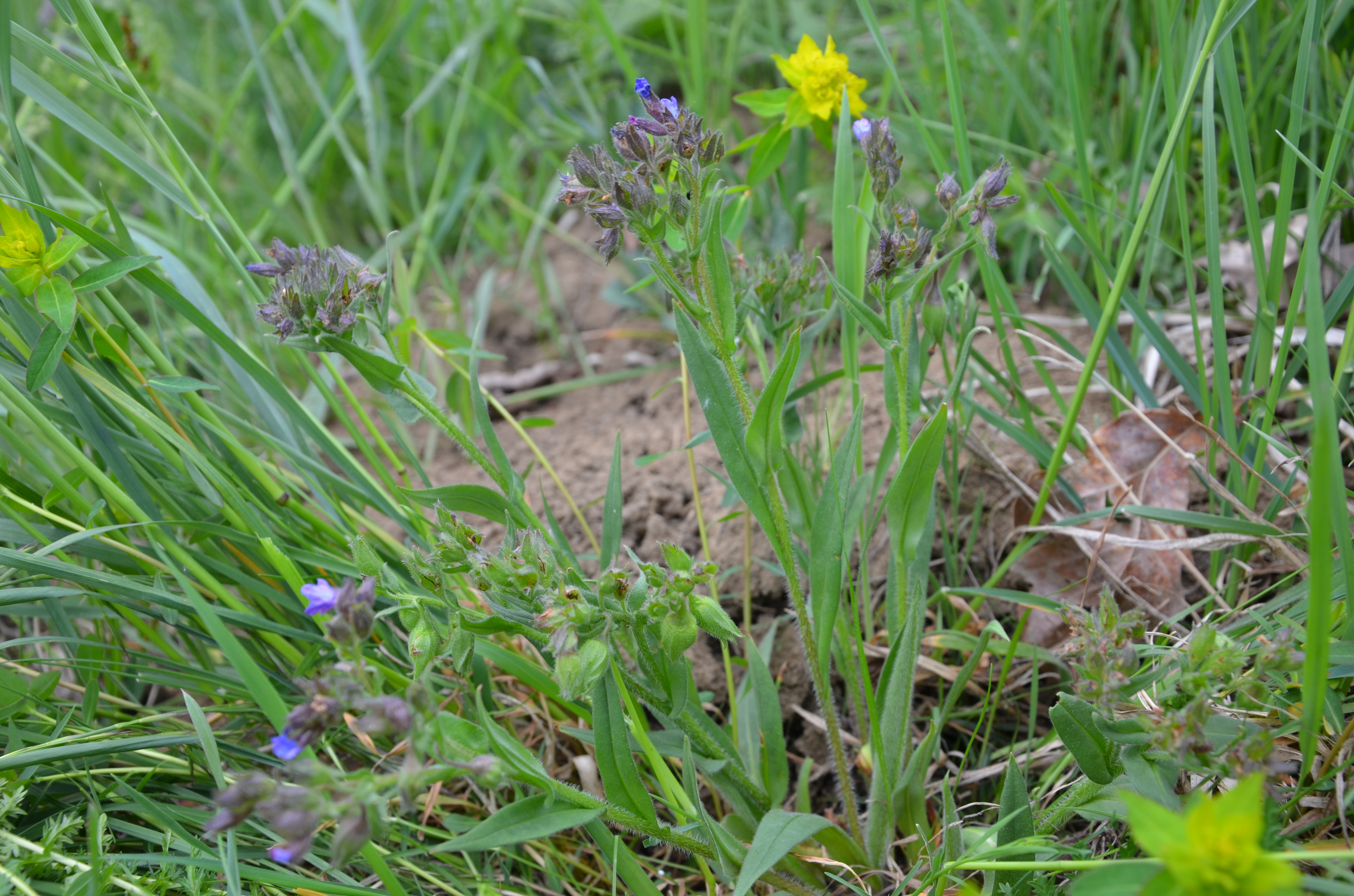 16042014225317 2303 art 1456 dsc 3385