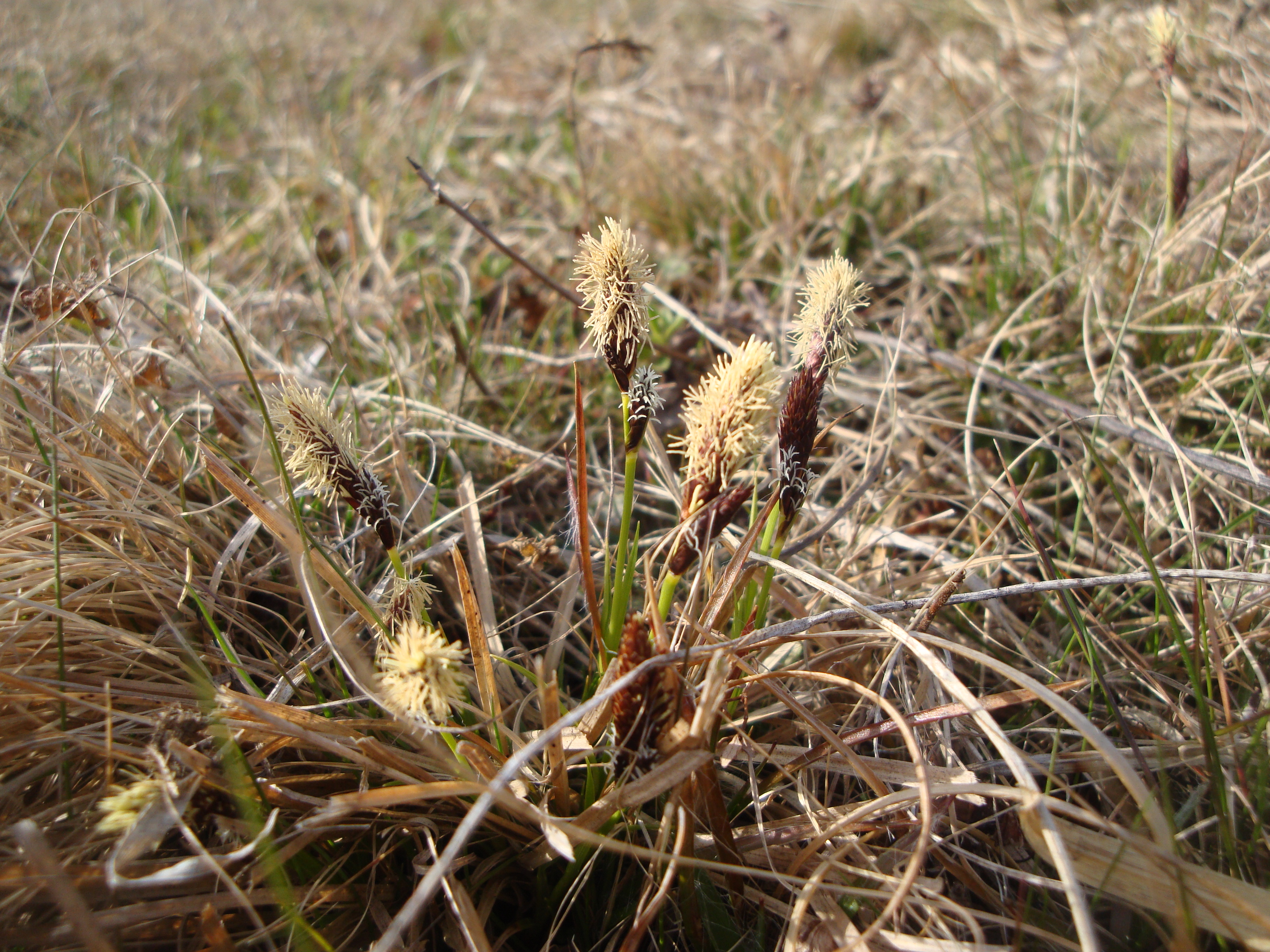 16042014232219 2305 art 1457 dsc01130