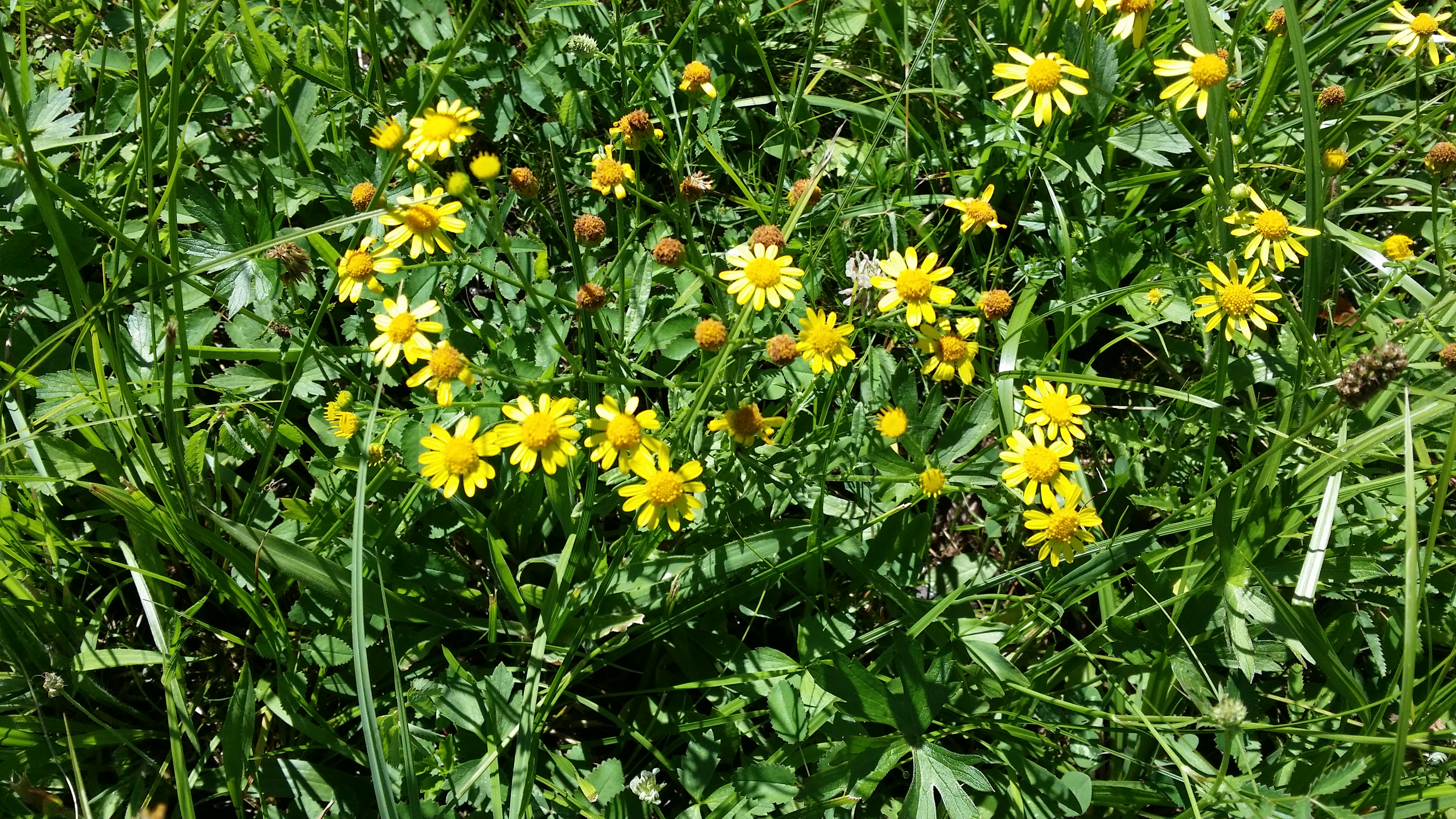 16072016204738 2865 art 1773 20160714 110543