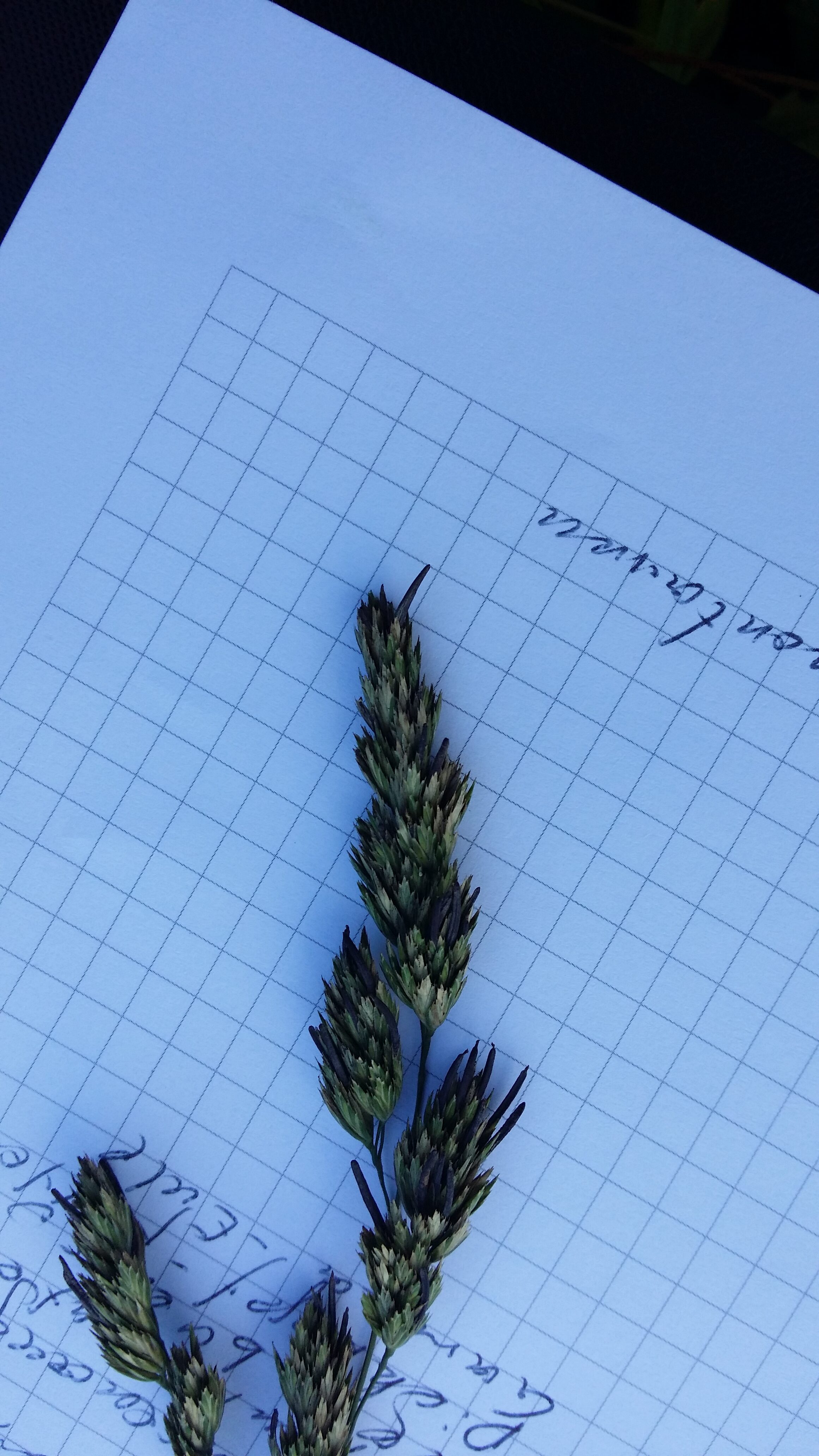 16072016211015 2869 art 1406 20160714 111156