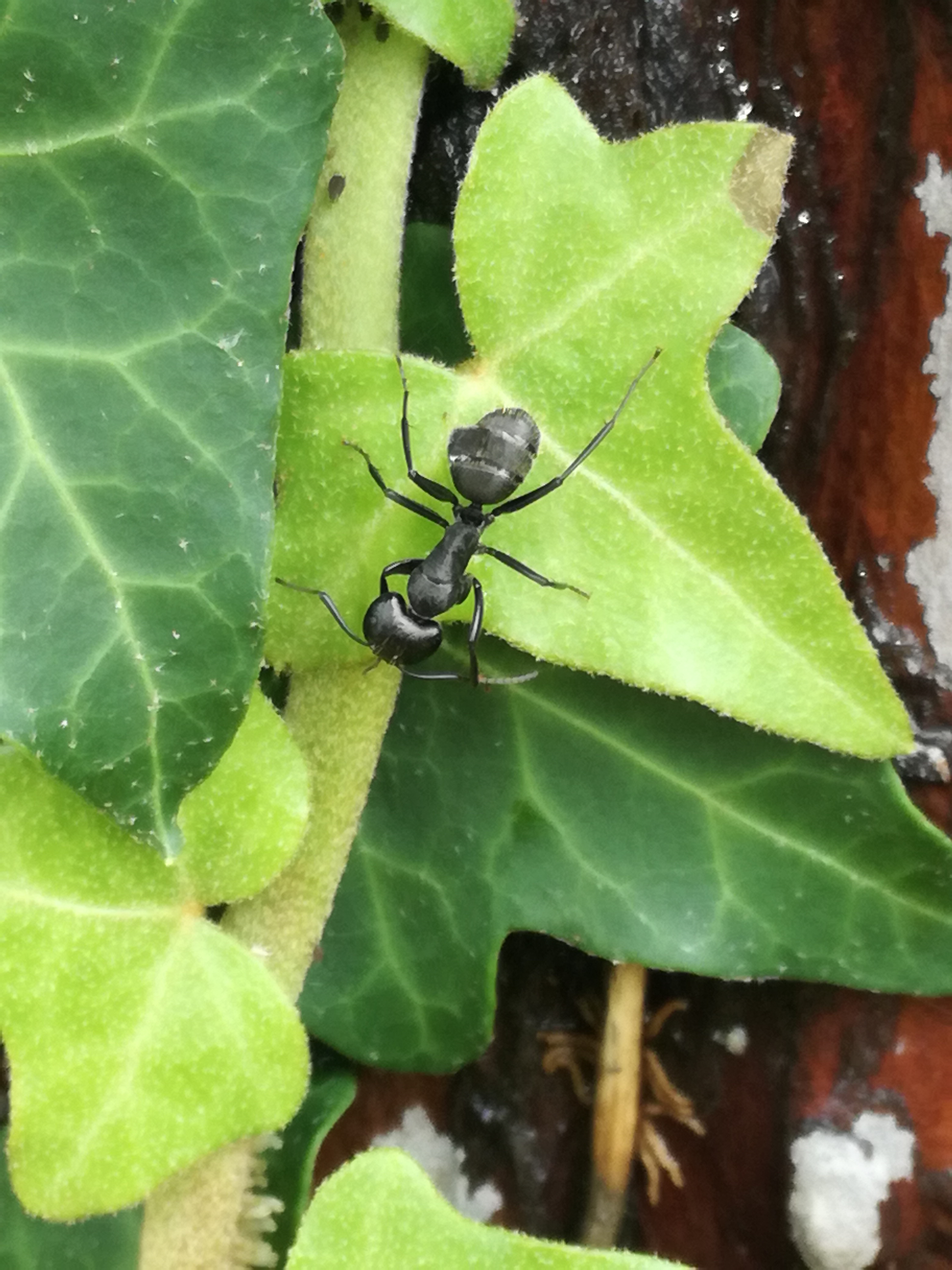 16072018221450 3808 art 97 img 20180711 144216