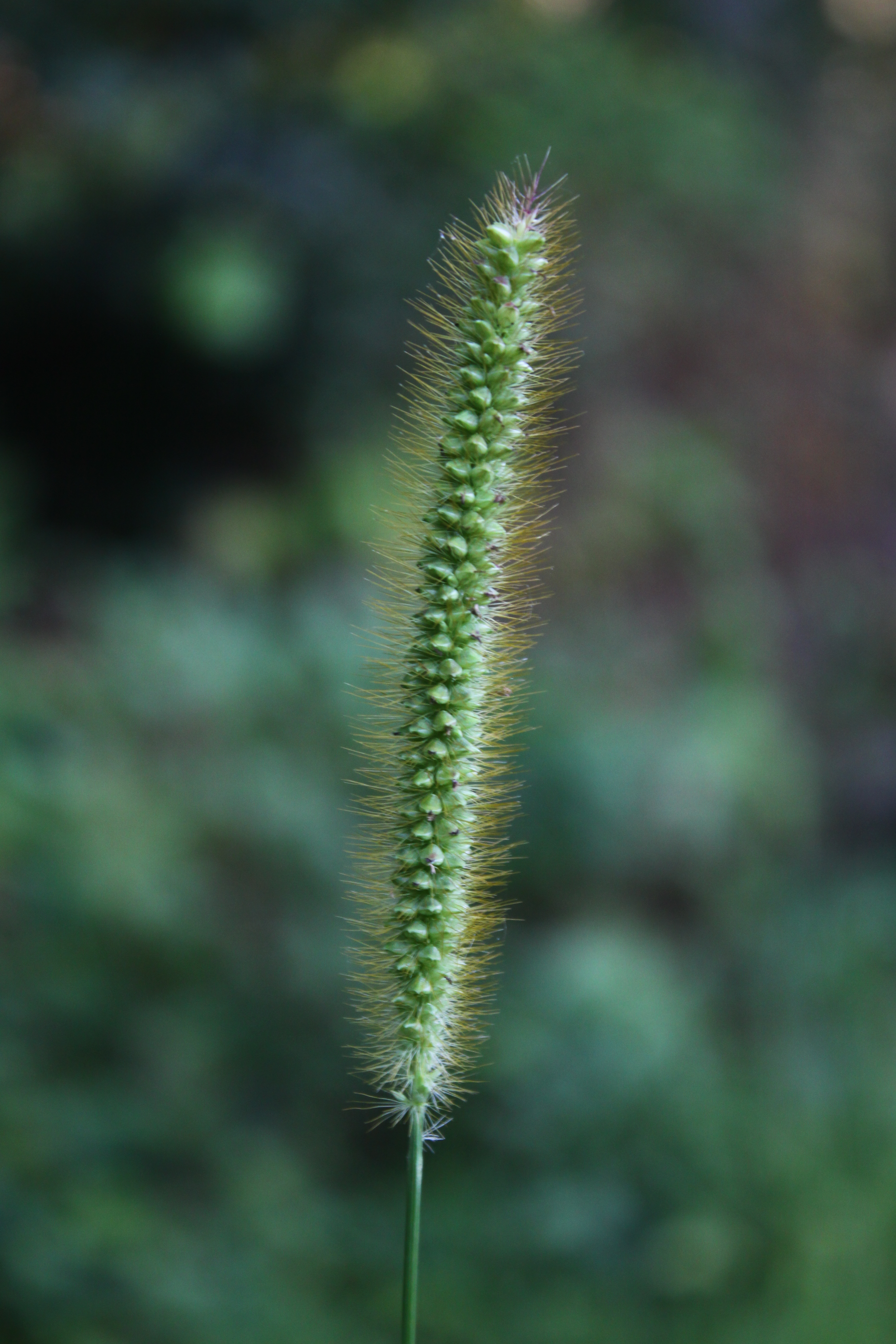 16082013081611 1439 art 710 0 115