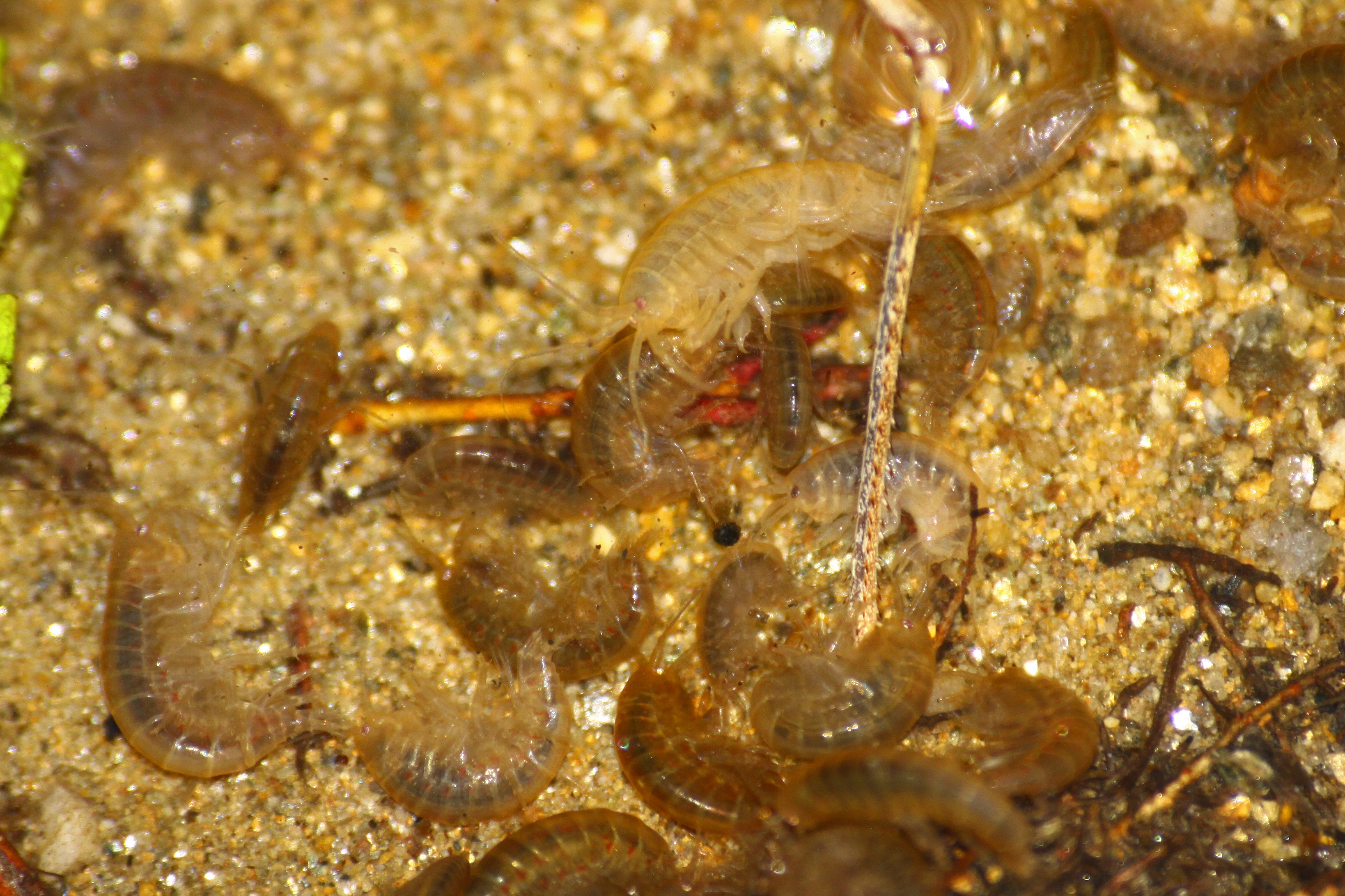 16092013175303 2084 art 1396 0 178