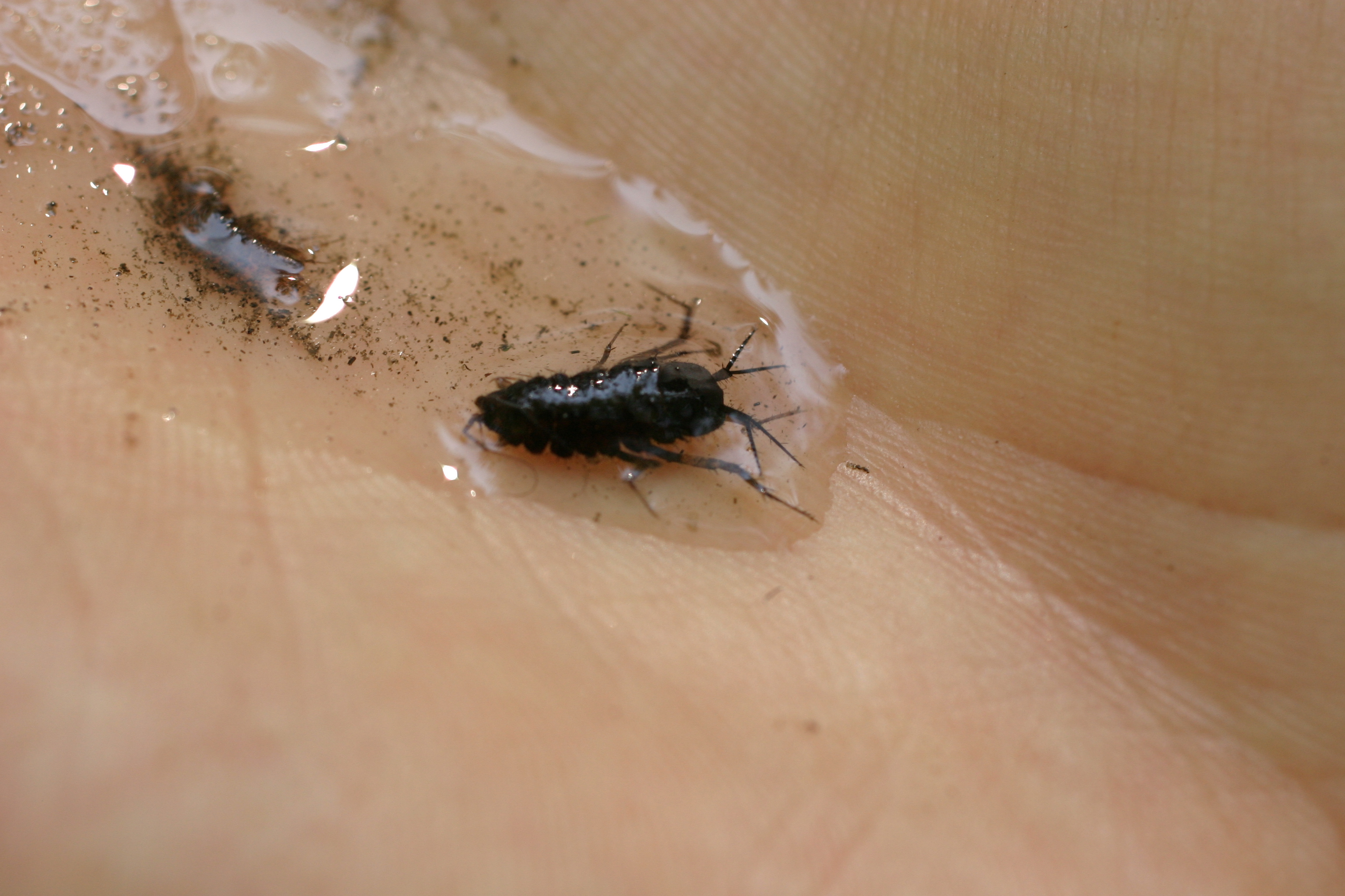 16092013182816 2093 art 1408 werndf img 2717 3