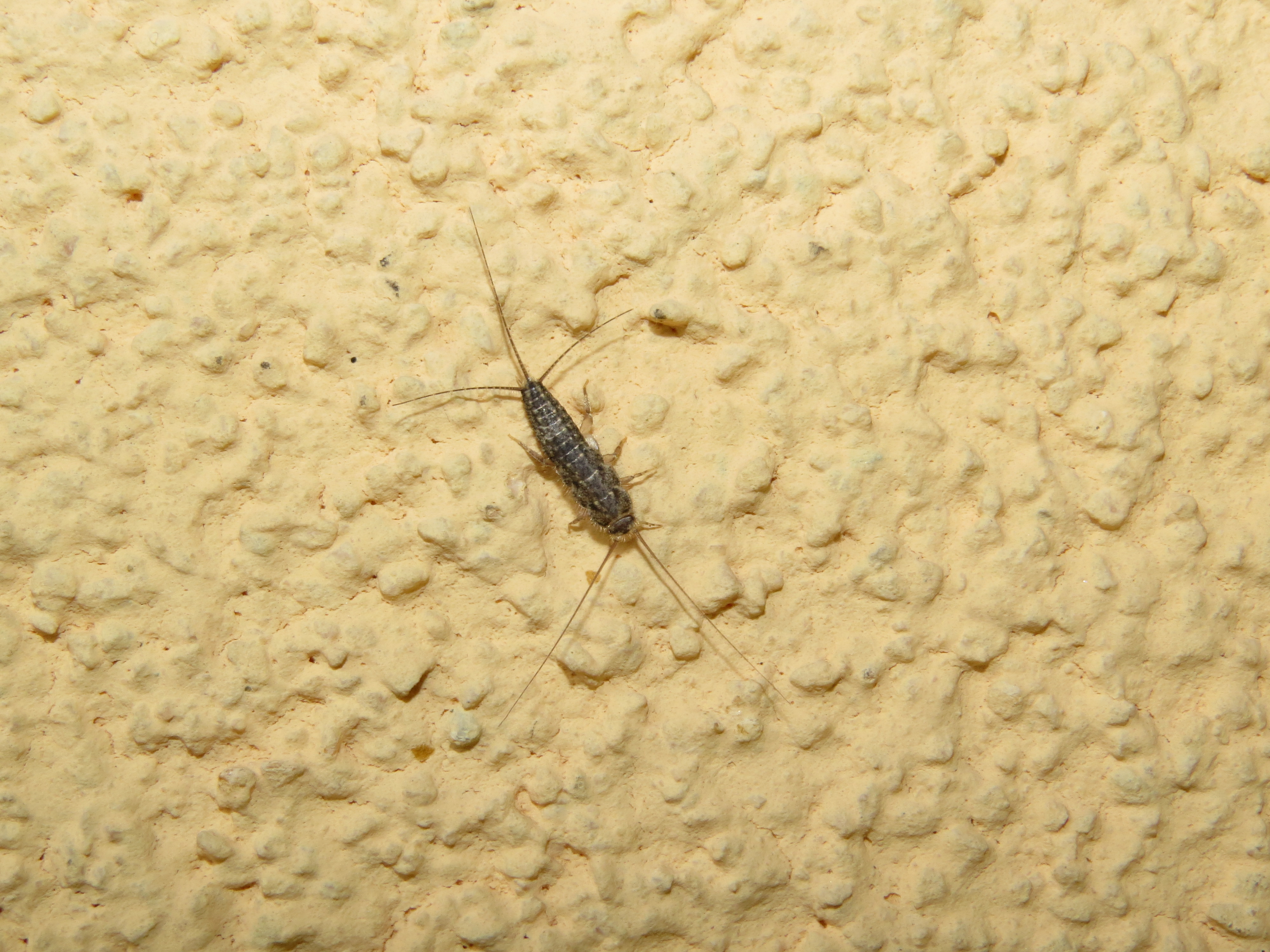 16092013190846 2095 art 1402 0 141