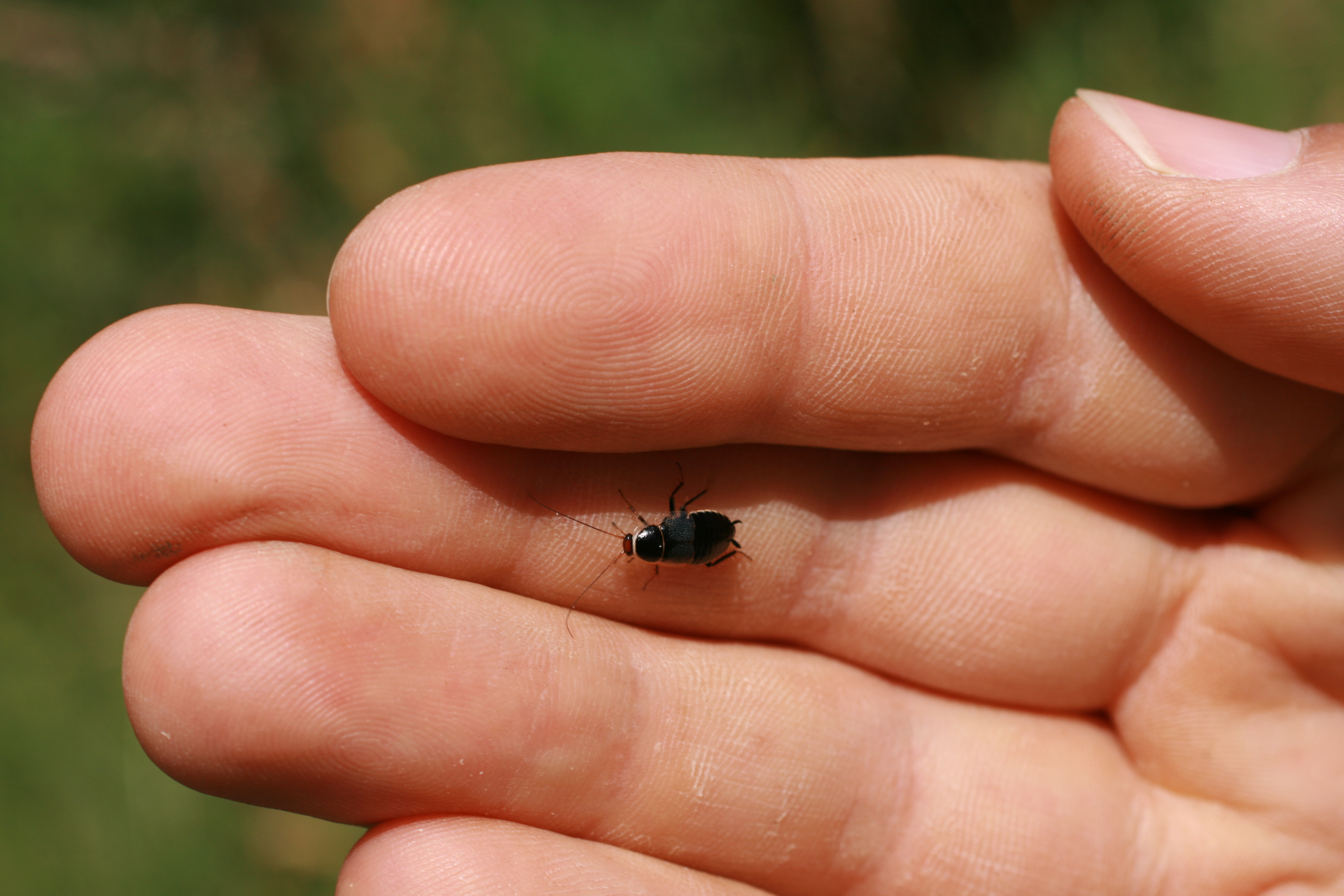 16092013193010 2097 art 1405 schabe sotinaslo reg img 8798 5