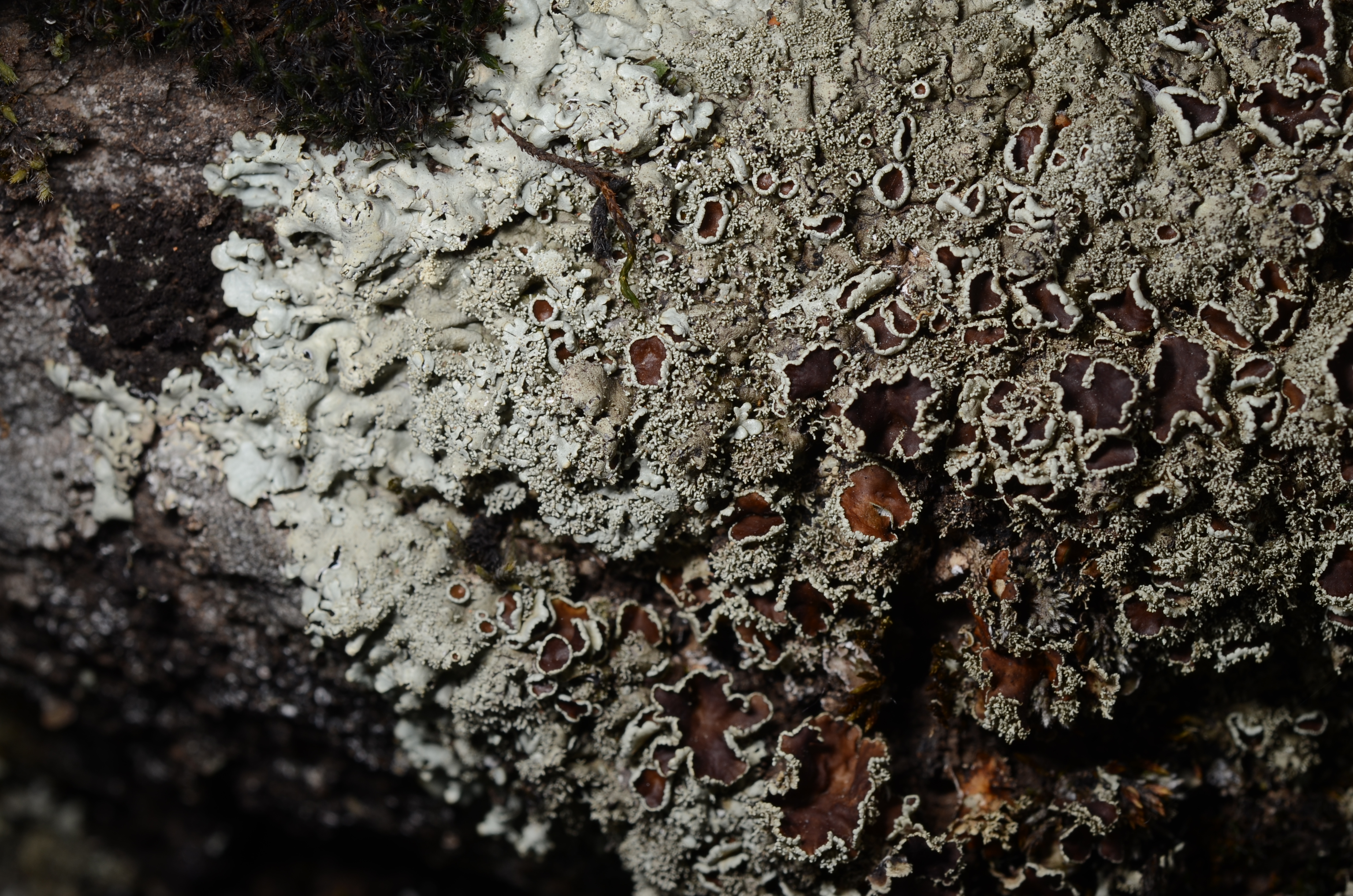 17042014184925 2317 art 459 dsc 3518