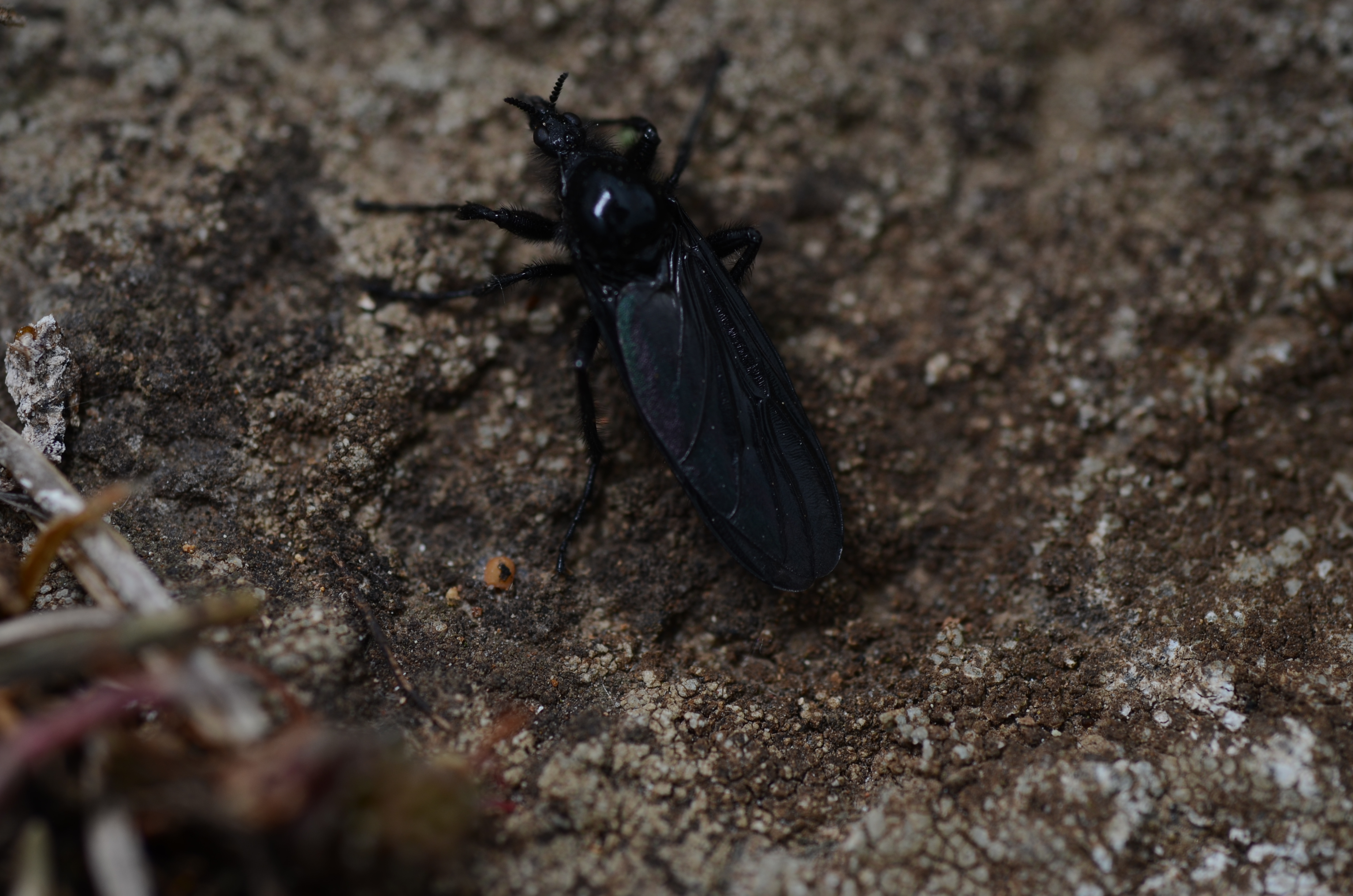 17042014190520 2319 art 1452 dsc 3520