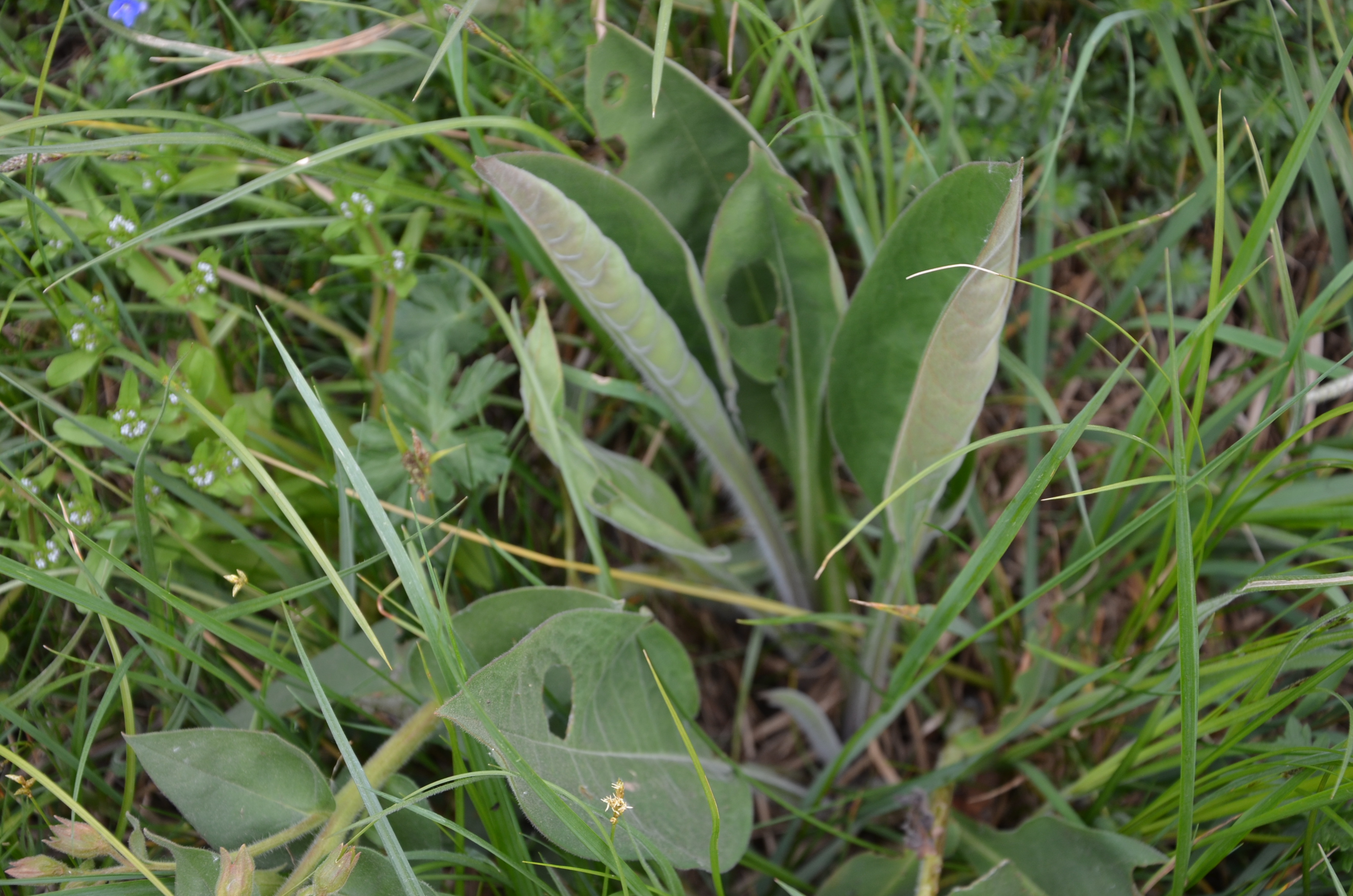 17042014190918 2320 art 1458 dsc 3486