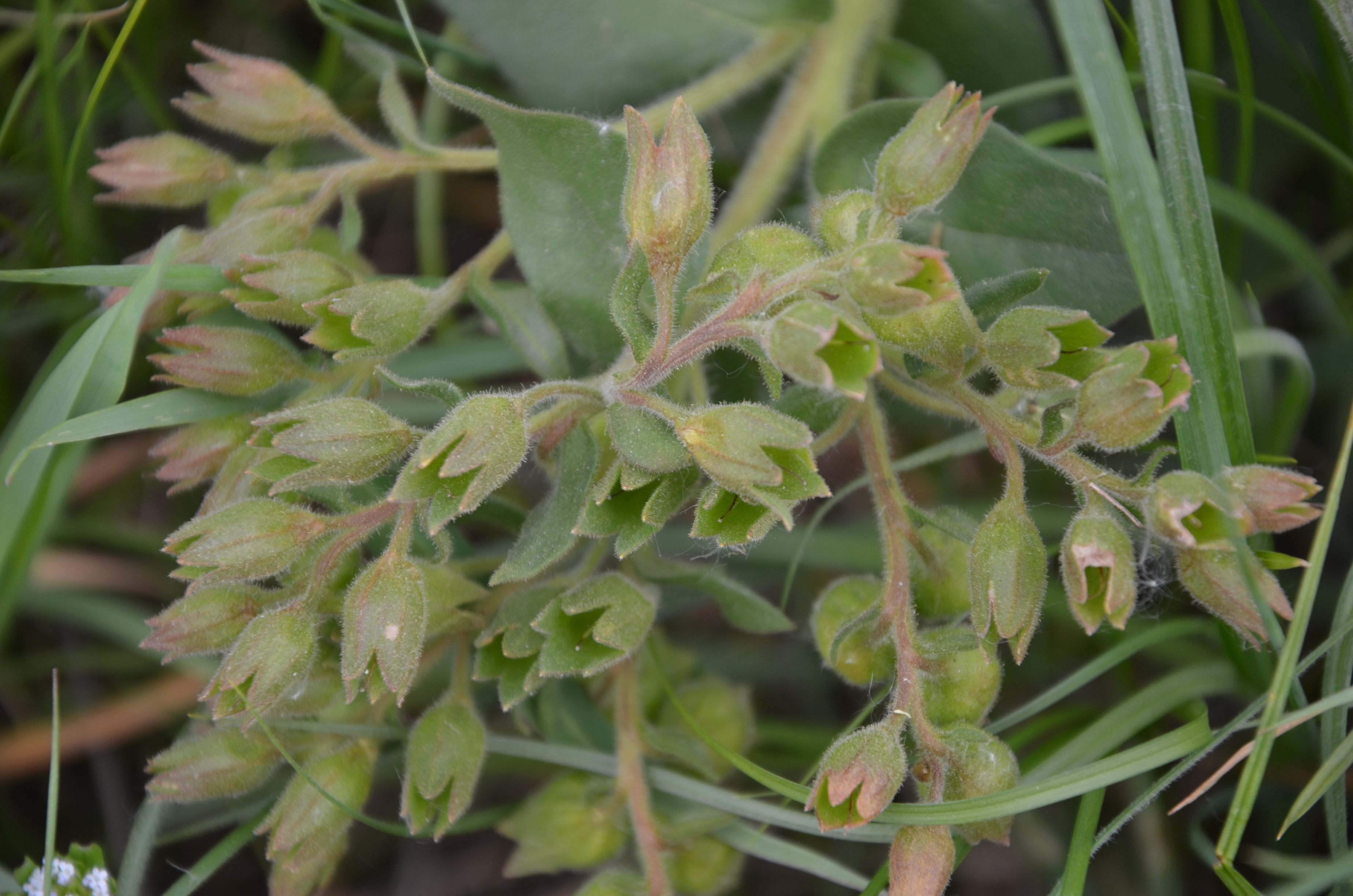 17042014191109 2321 art 1458 dsc 3488