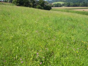 17052013082607 494 lebensraum 1121 364