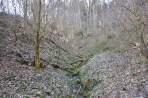 17082013210451 1474 lebensraum 1100 quellflur