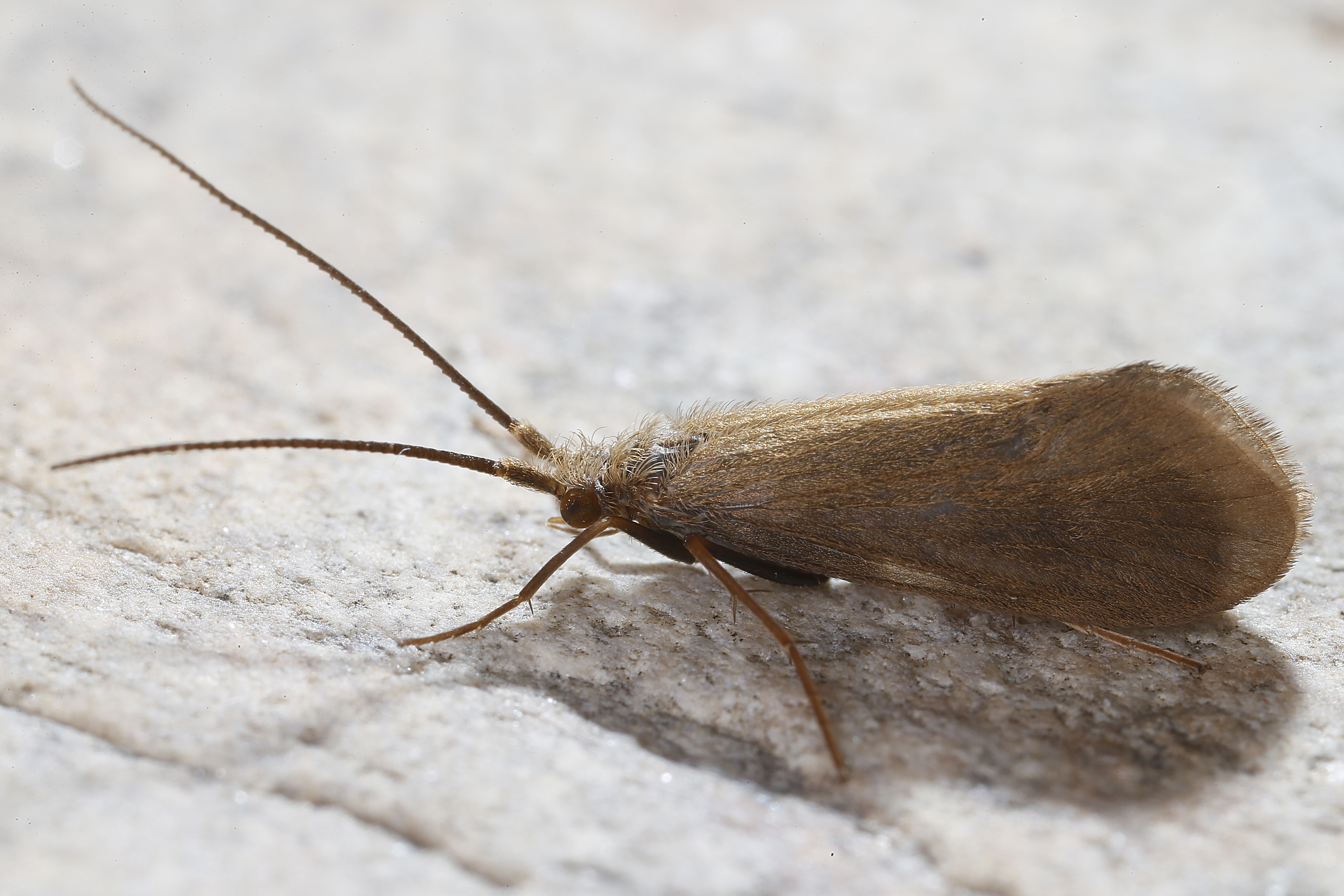 17092013040305 2137 art 1391 m2p0731.2