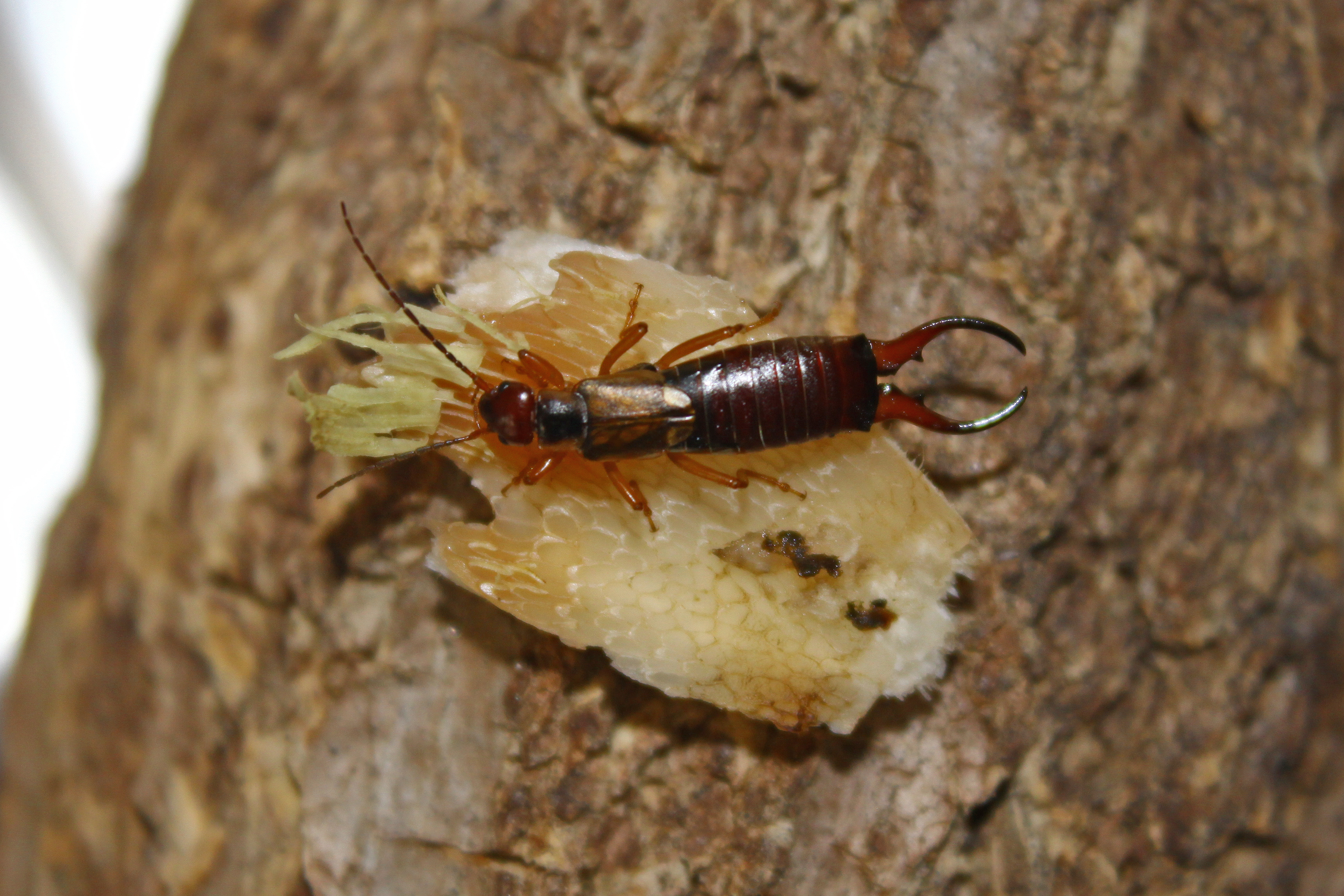 17092013125649 2163 art 1399 0 009