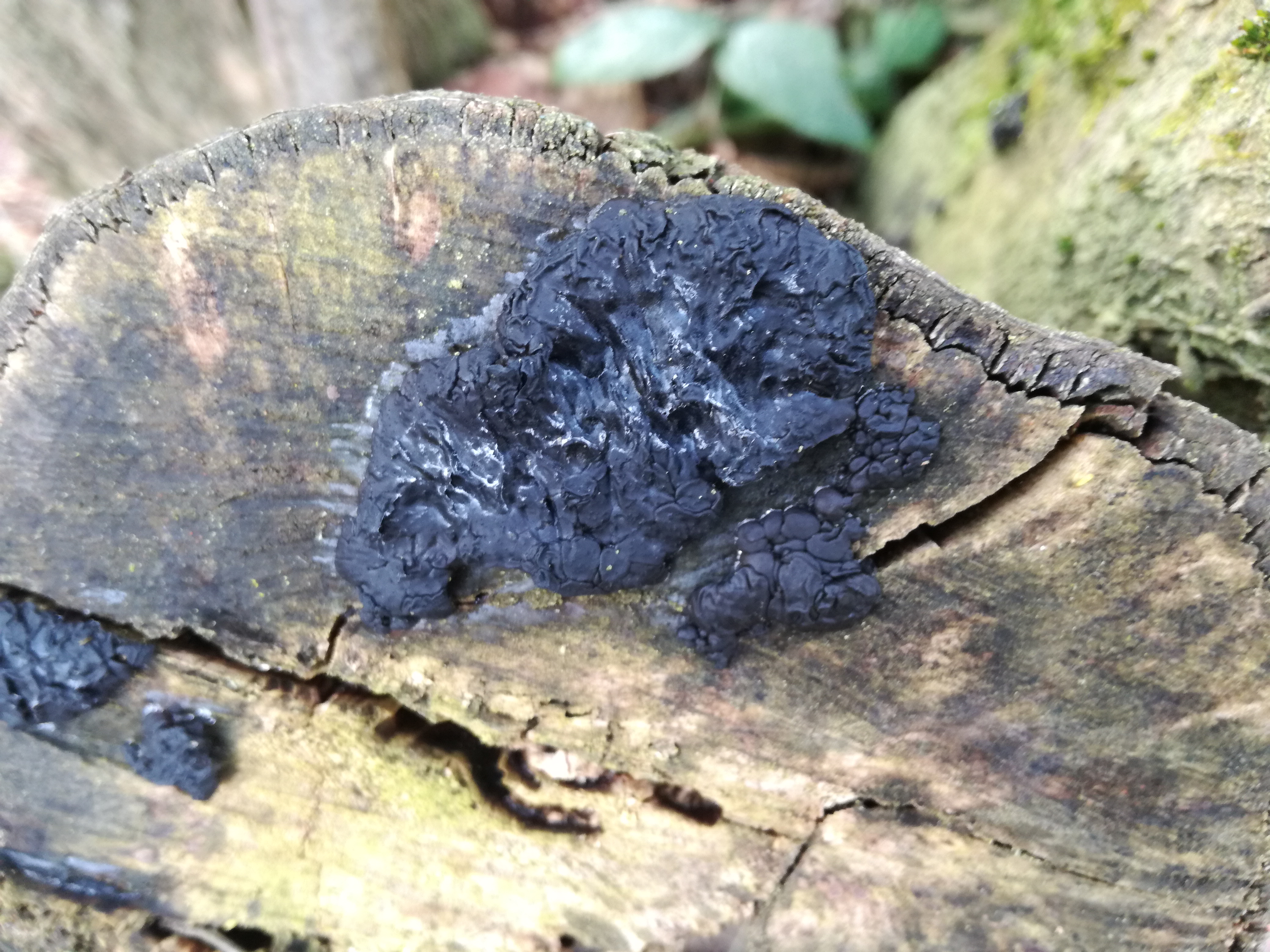 18012018201349 3378 art 1999 img 20180118 115507