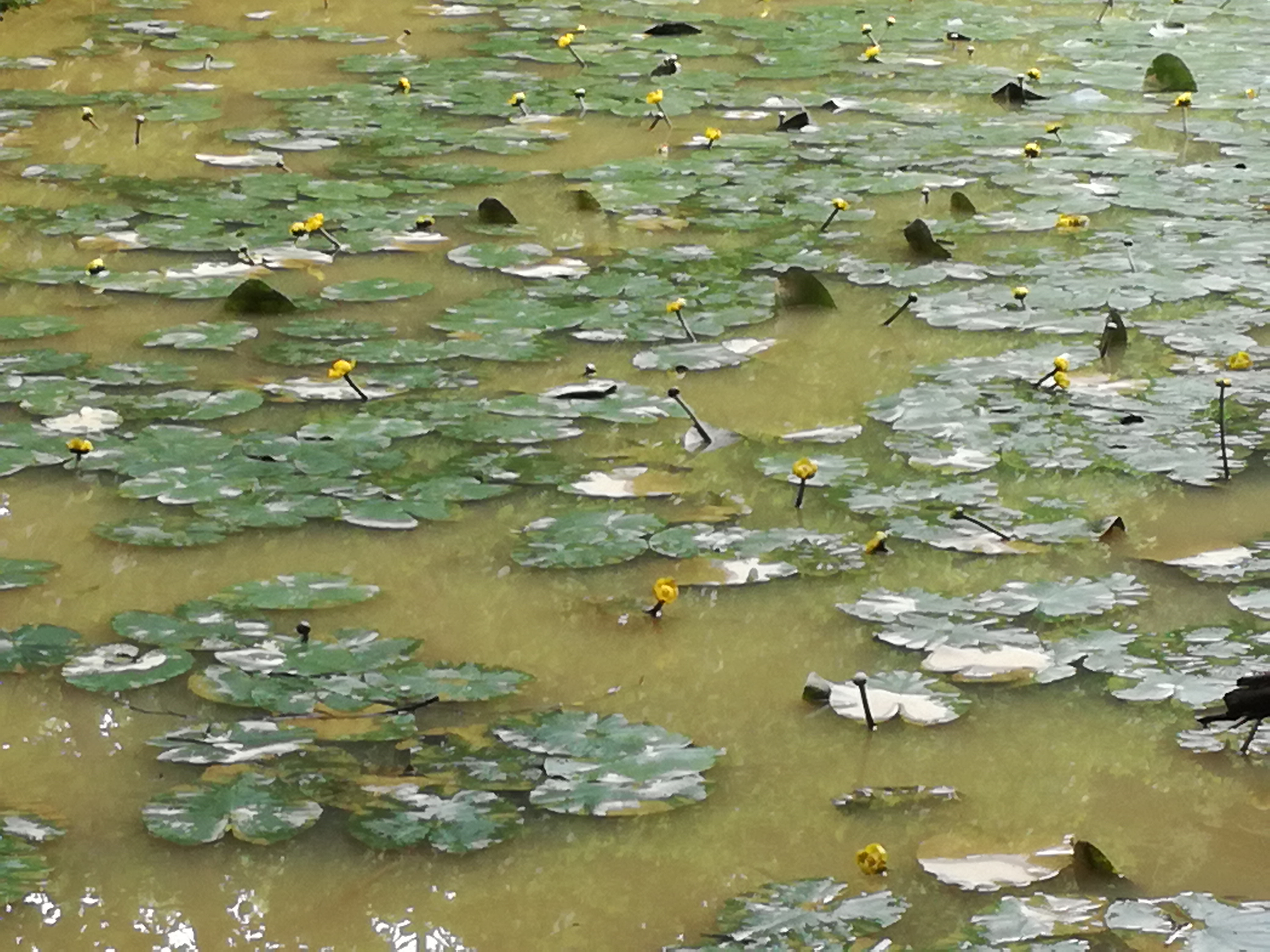 18052018080855 3649 art 2200 img 20180516 174640 1