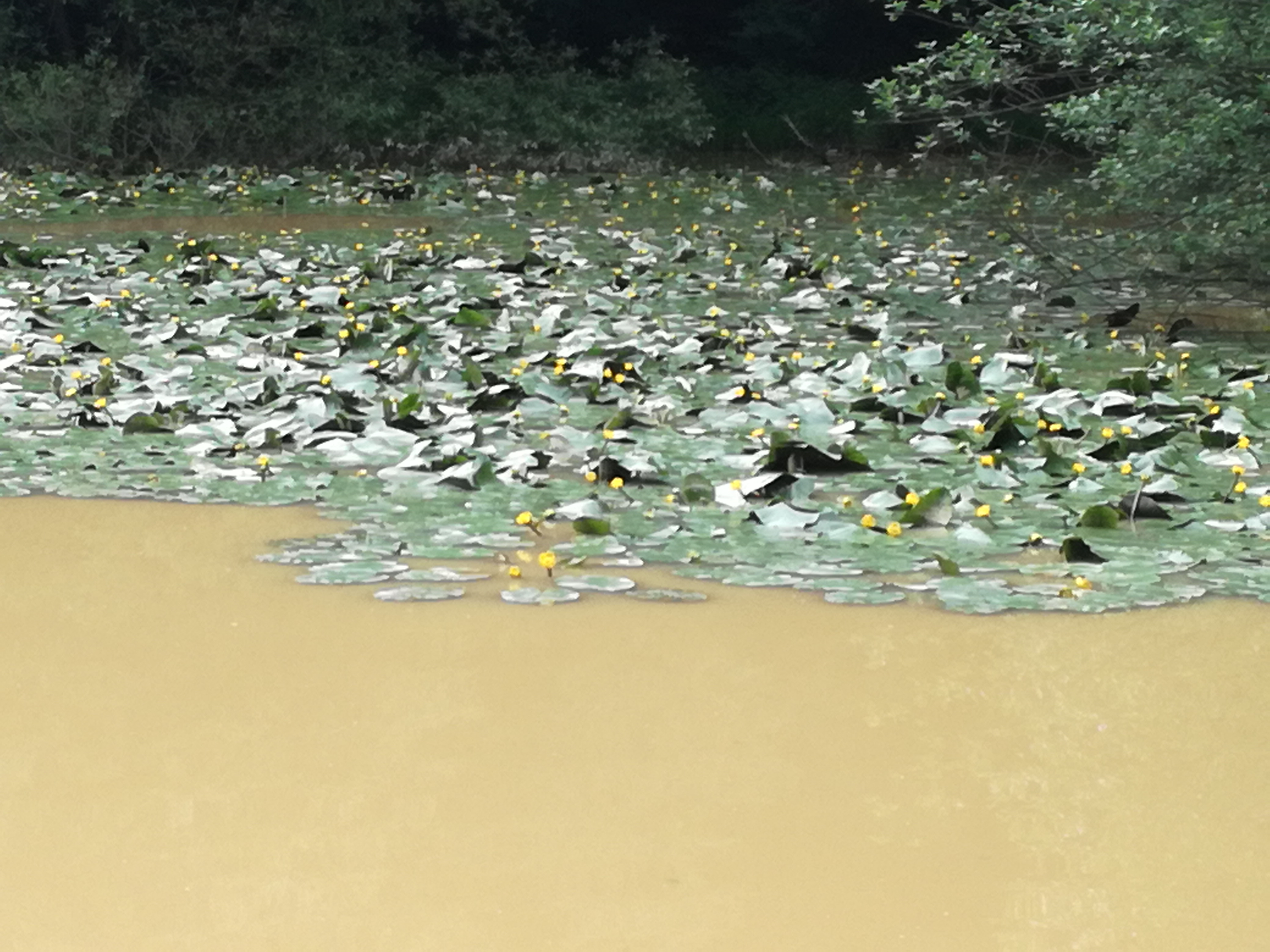 18052018080946 3650 art 2200 img 20180516 174414