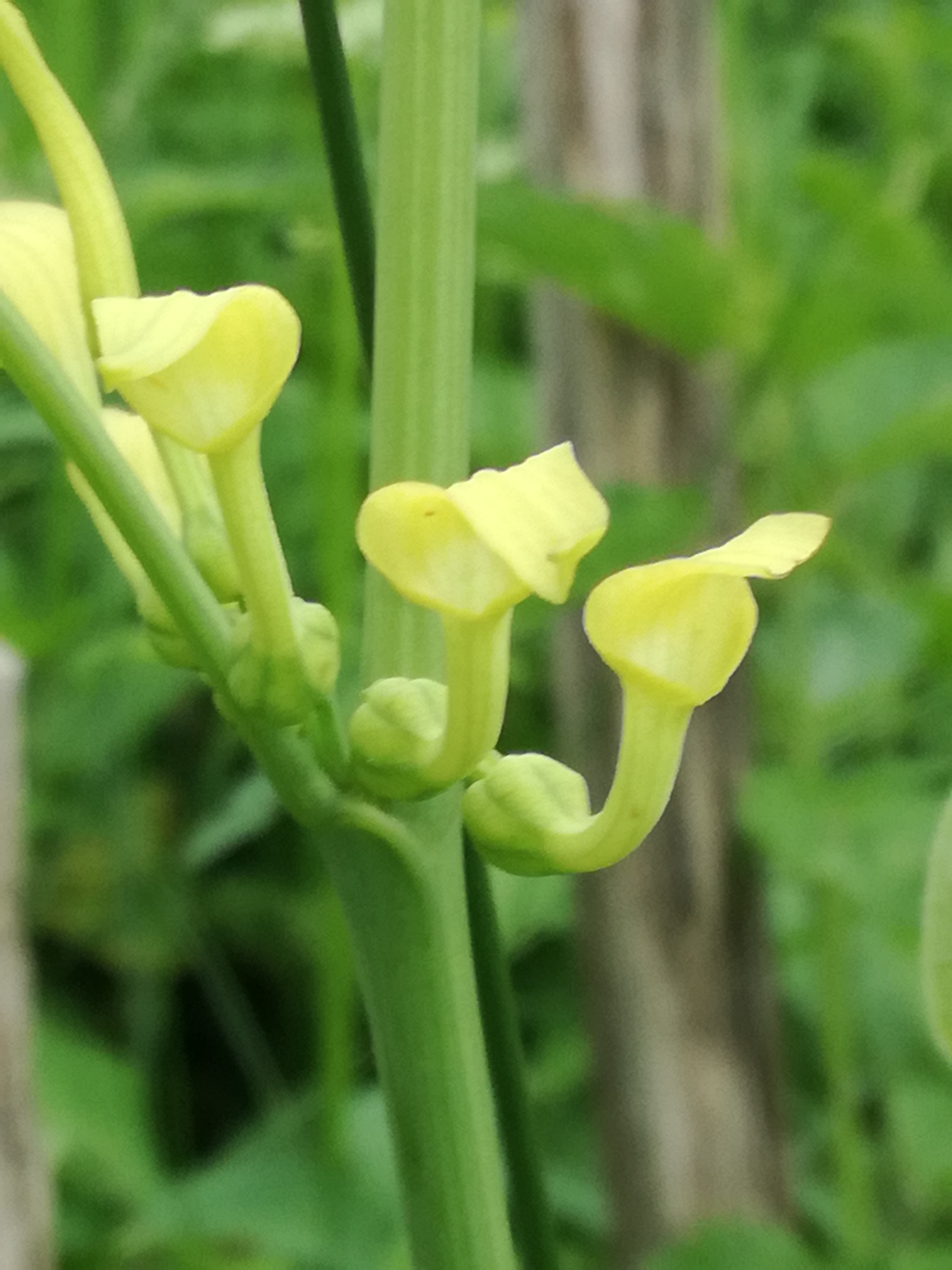 18052018082229 3651 art 238 img 20180516 152036