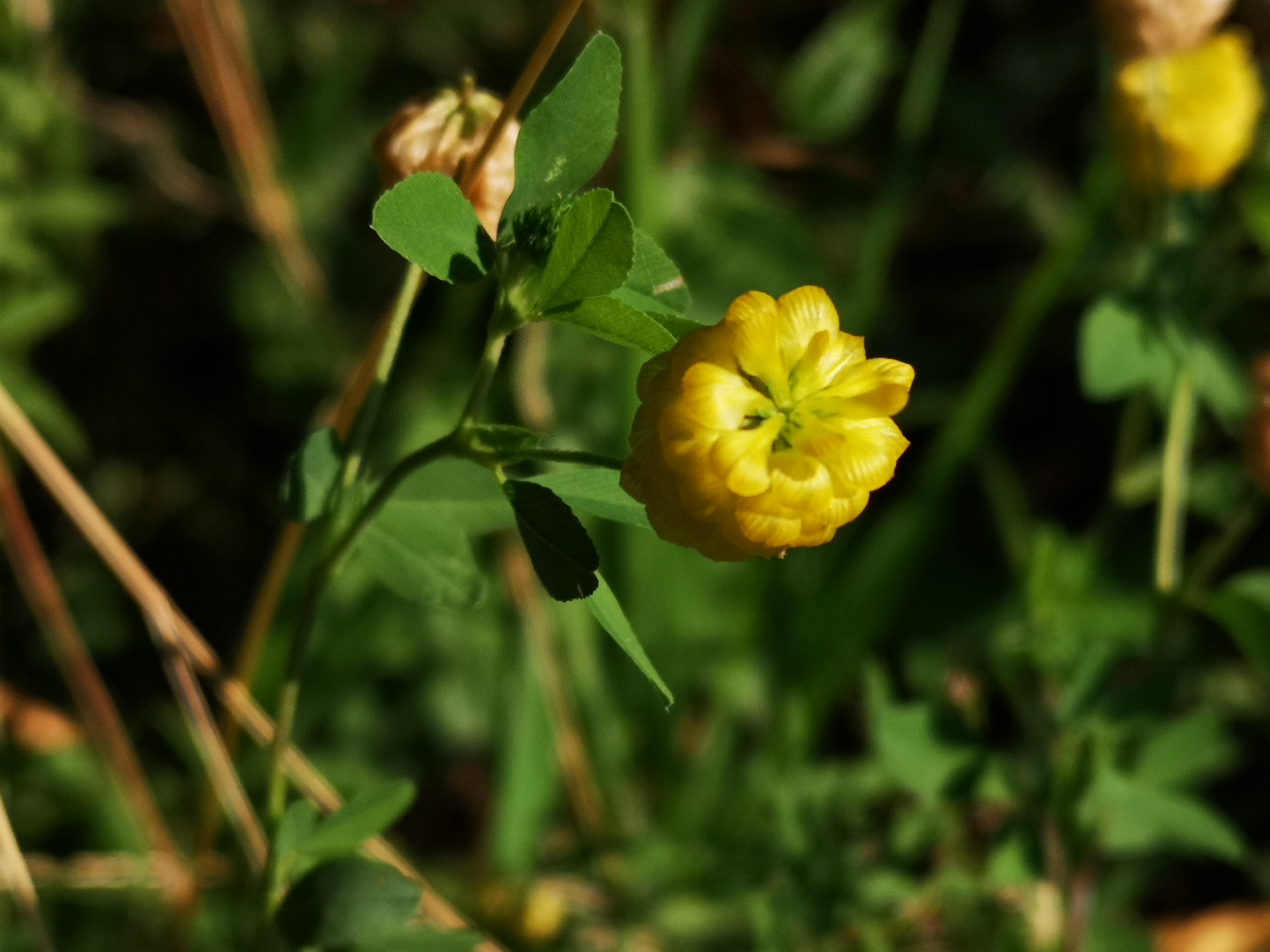 18072018193016 3810 art 2274 img 20180718 084422