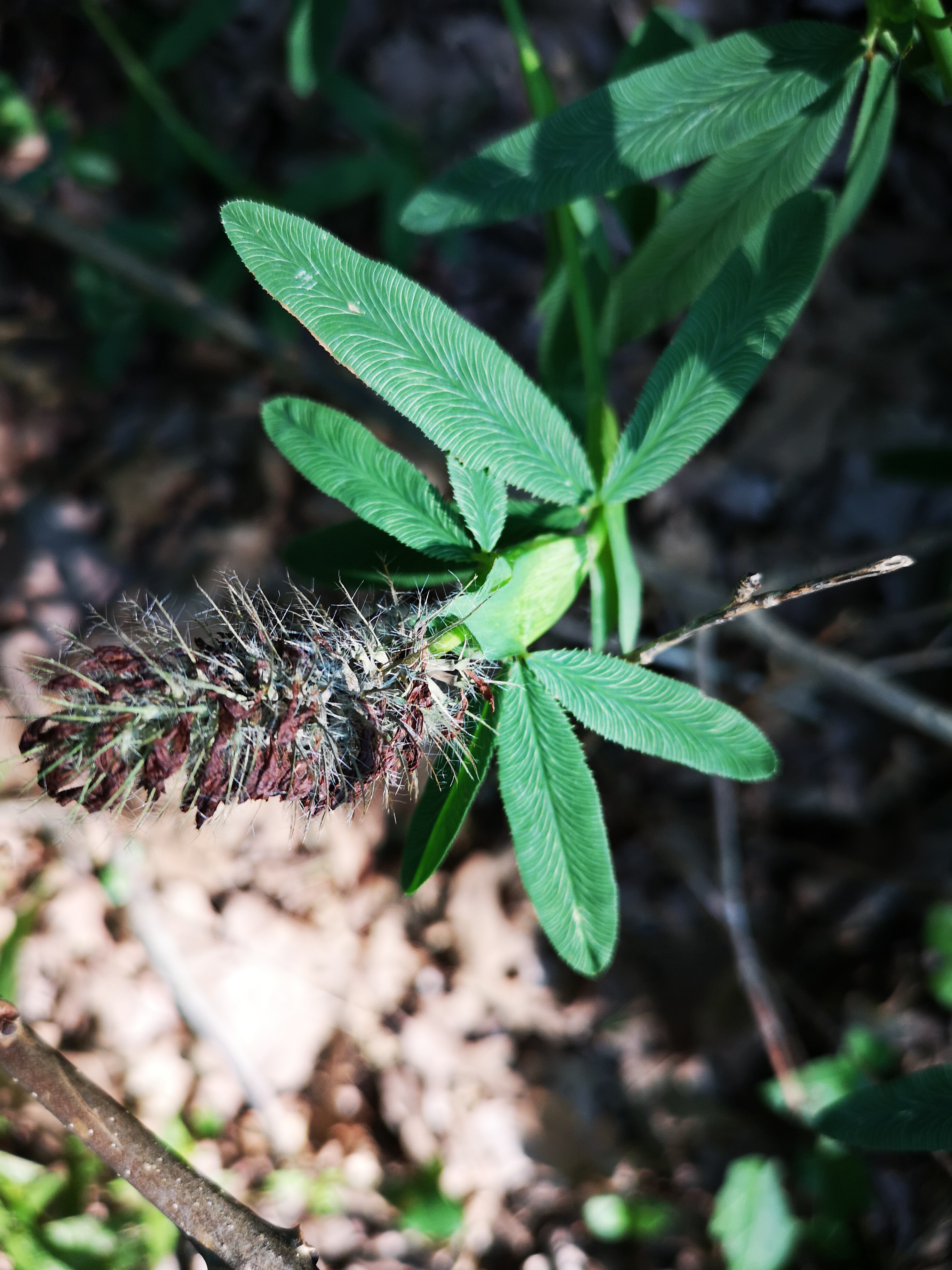 18072018194008 3812 art 2236 img 20180718 090543