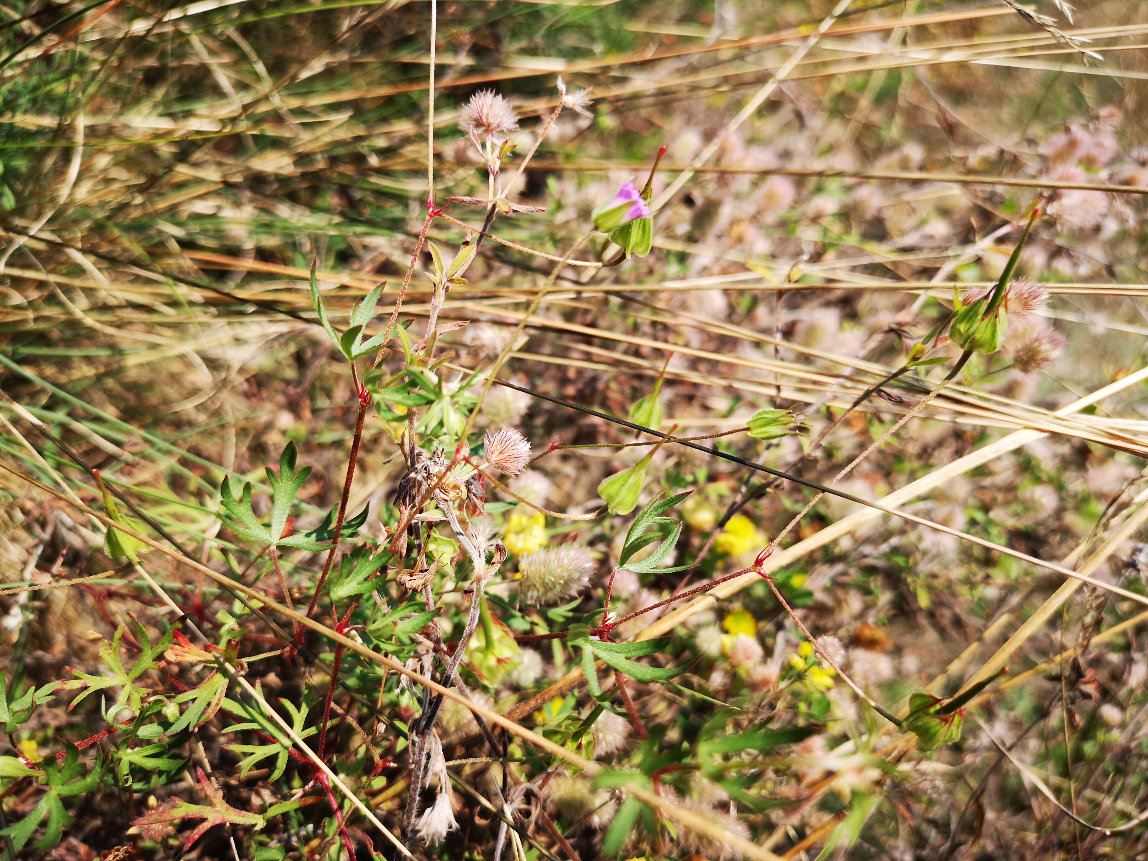 18072018204623 3825 art 2277 img 20180718 104845