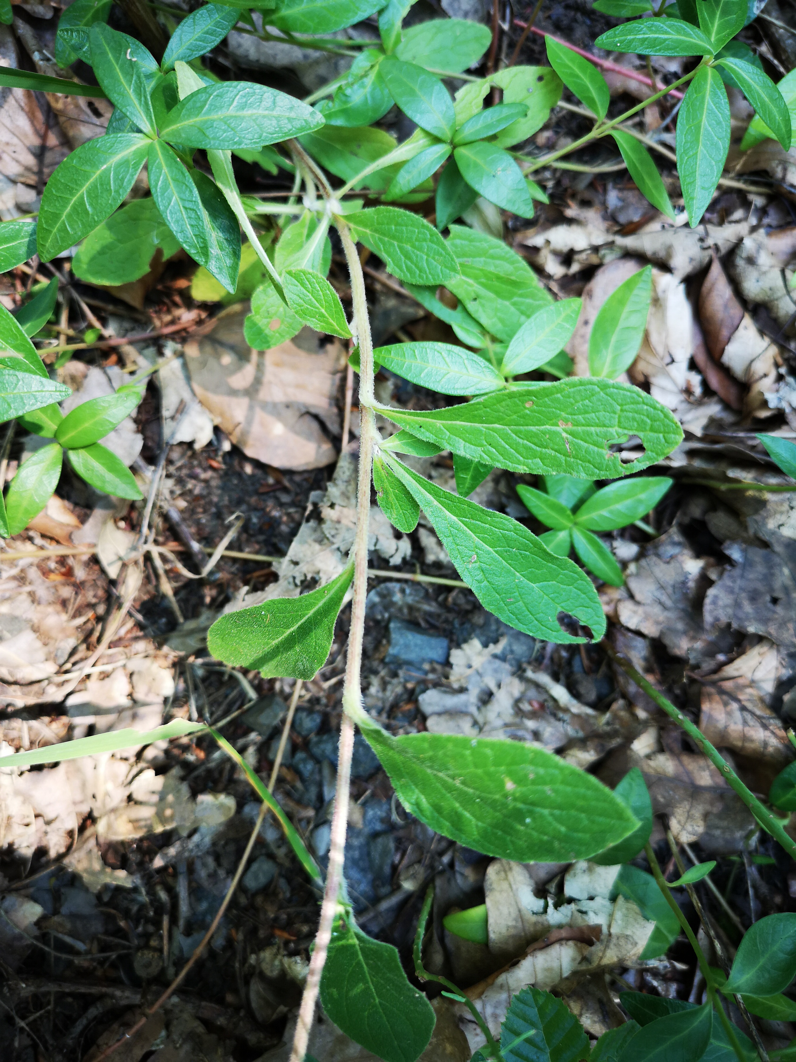 18072018205316 3829 art 1264 img 20180718 110645