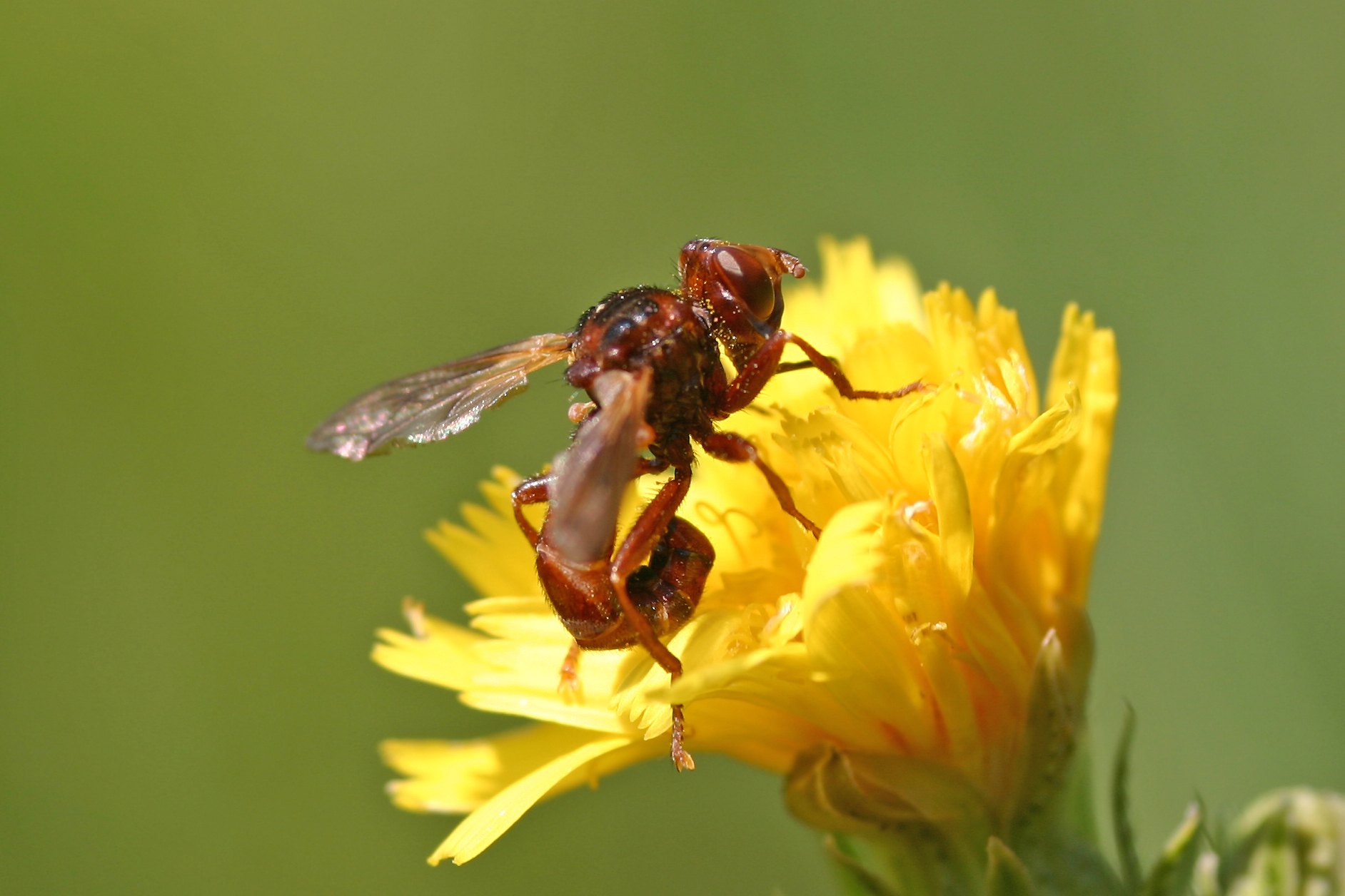 18082013233132 1495 art 1199 glbgkg img 2150