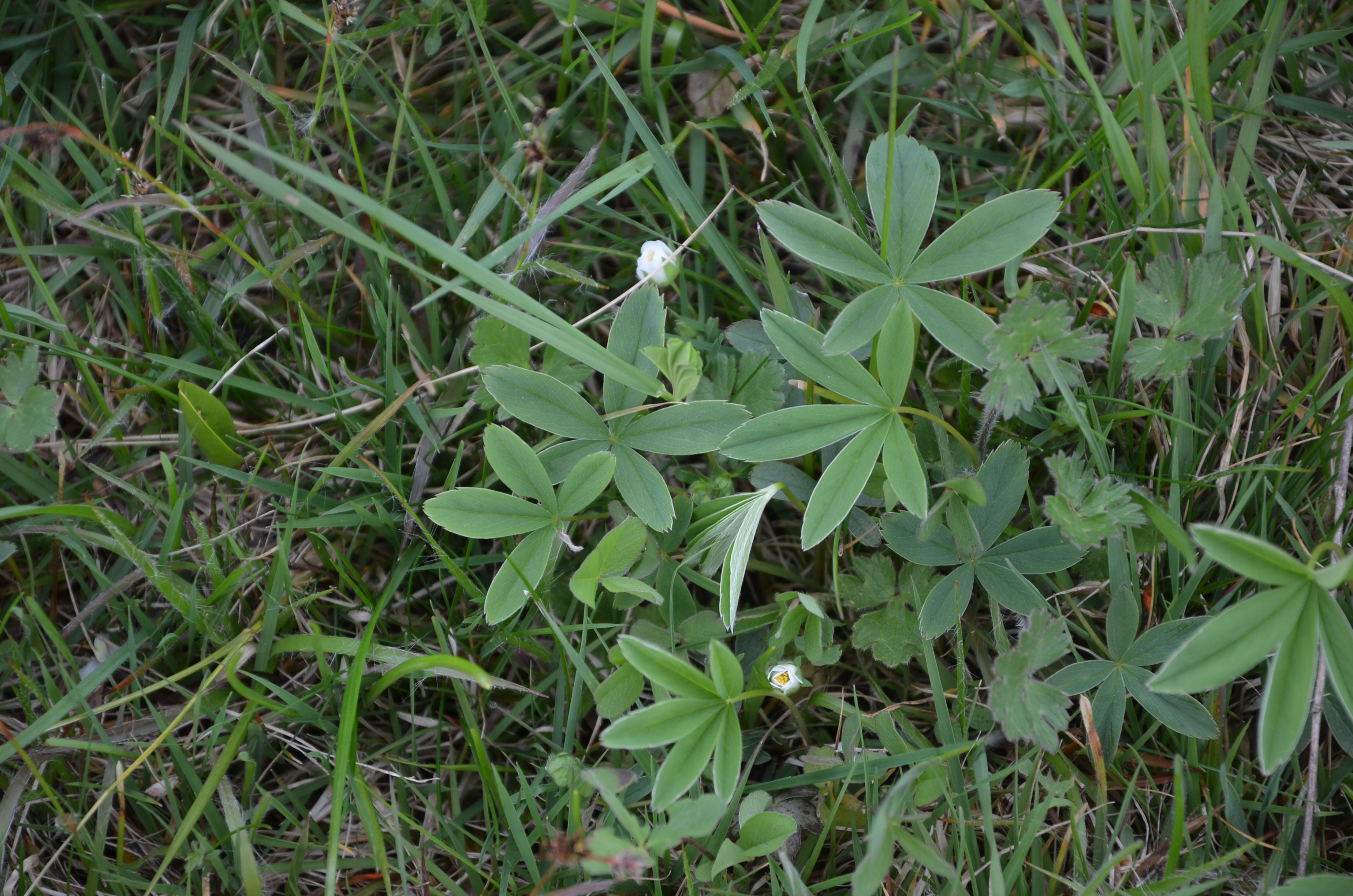 19042015084300 2756 art 1713 dsc 1614