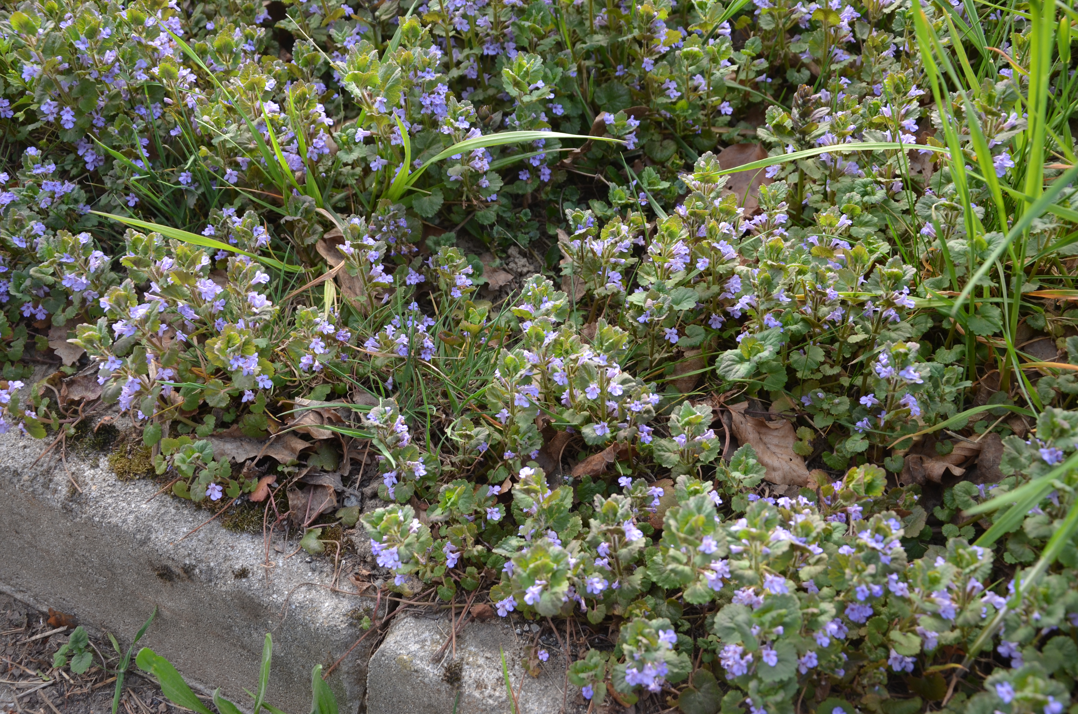 19042015085634 2758 art 1714 dsc 1577