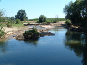 19062013173339 977 lebensraum 1164 dscf0172