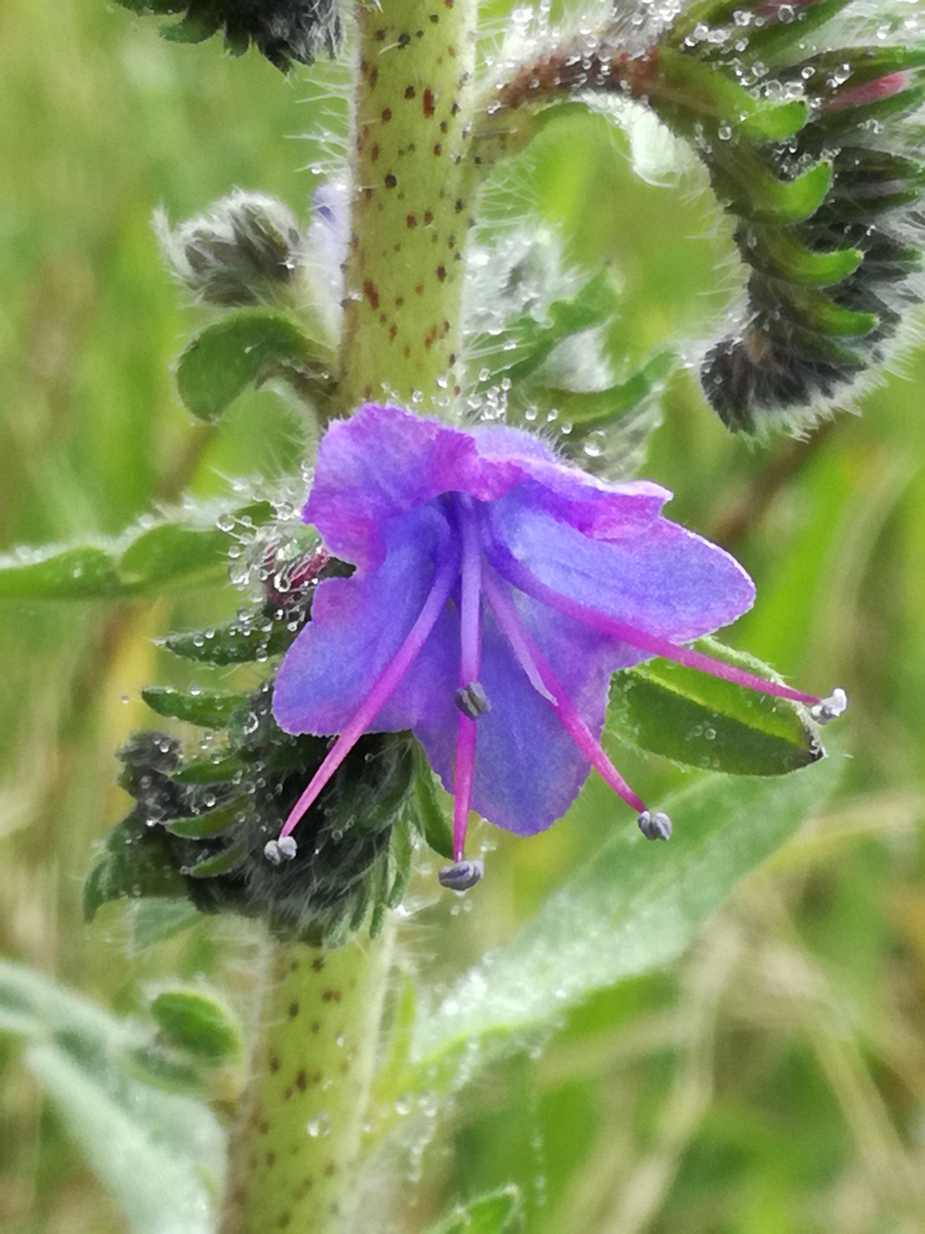 19062017214919 2973 art 1809 img 20170504 110722