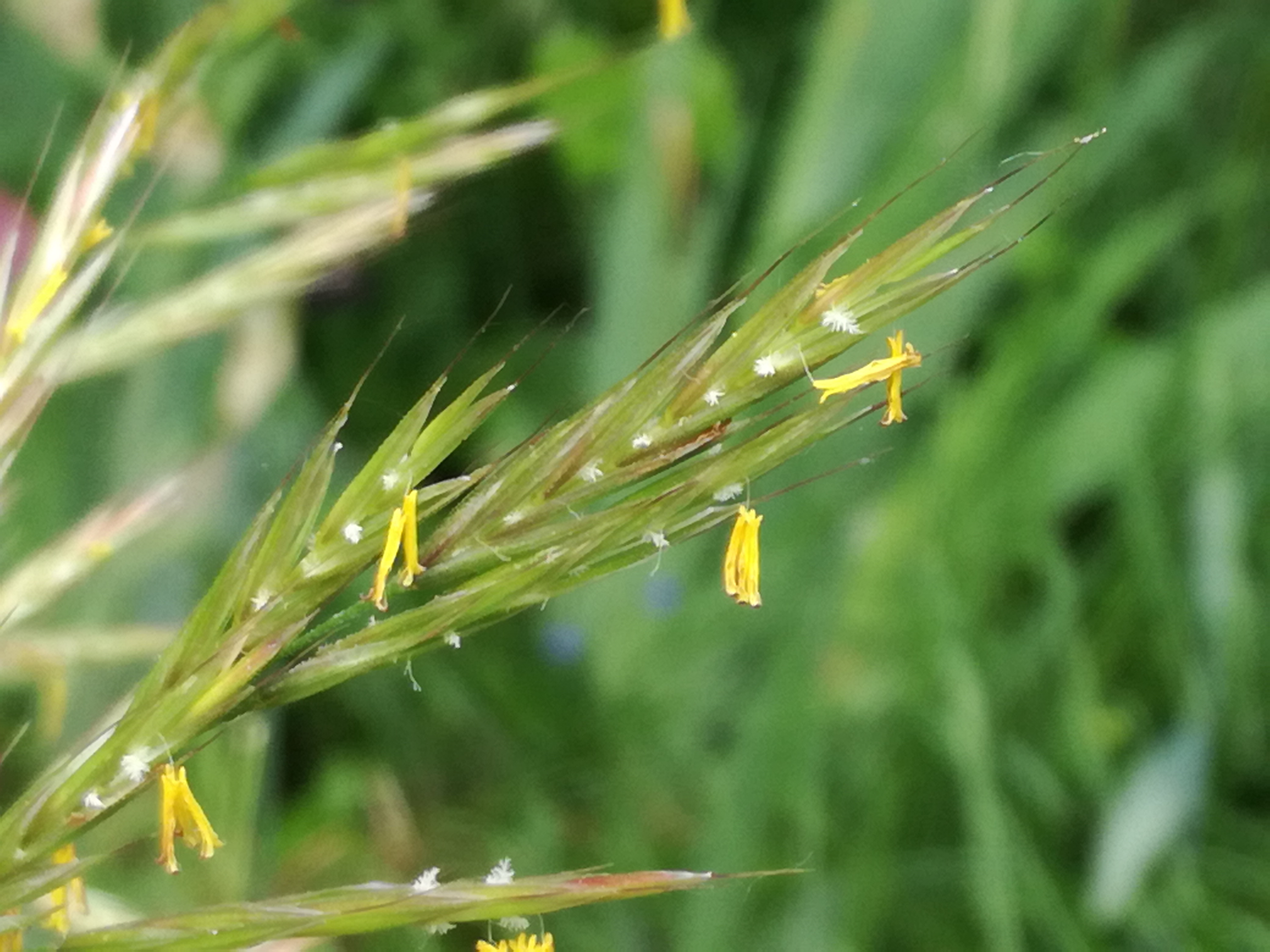 19062017221120 2975 art 549 img 20170520 155309