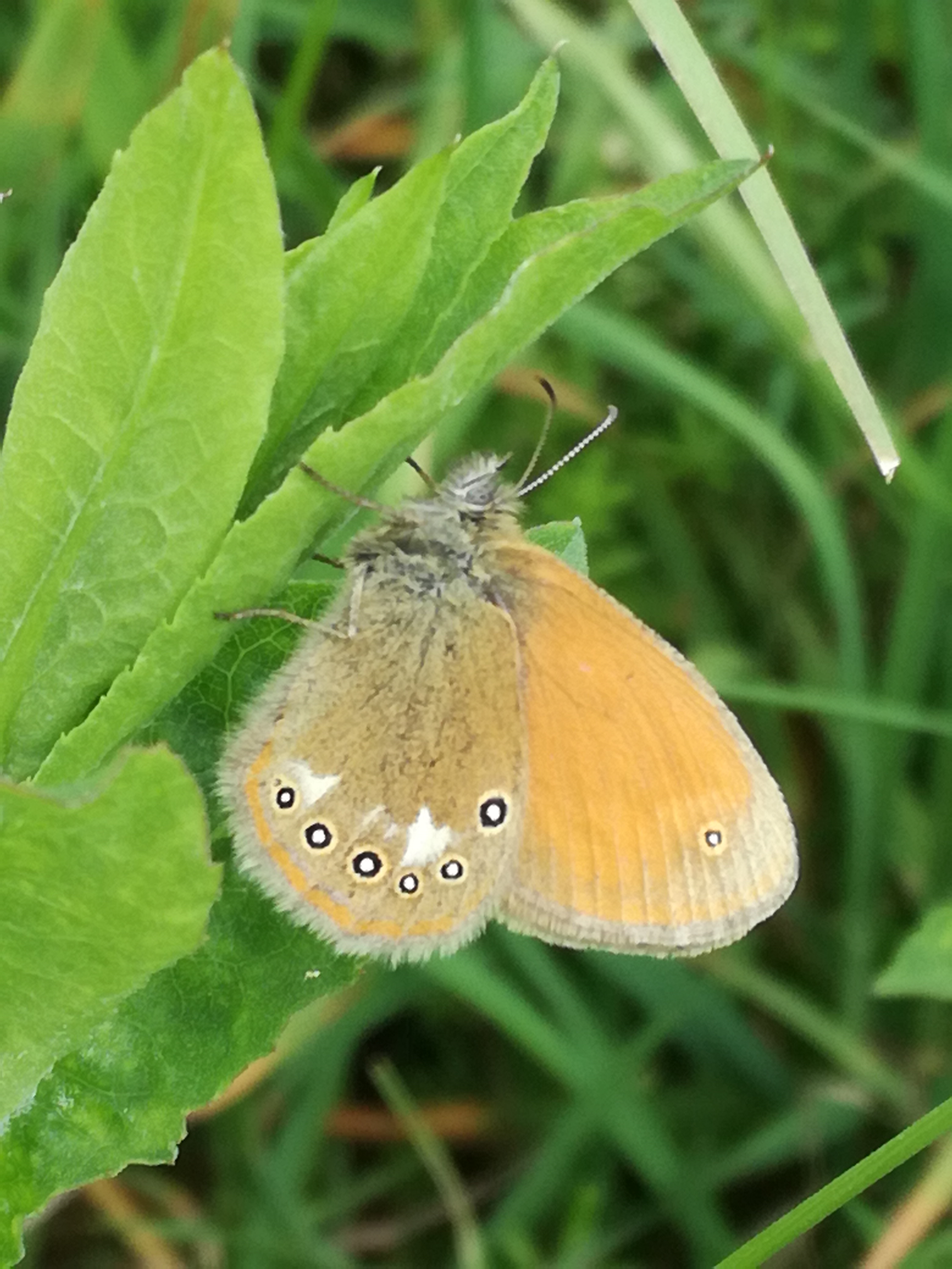 19062017225114 2978 art 842 img 20170521 135000