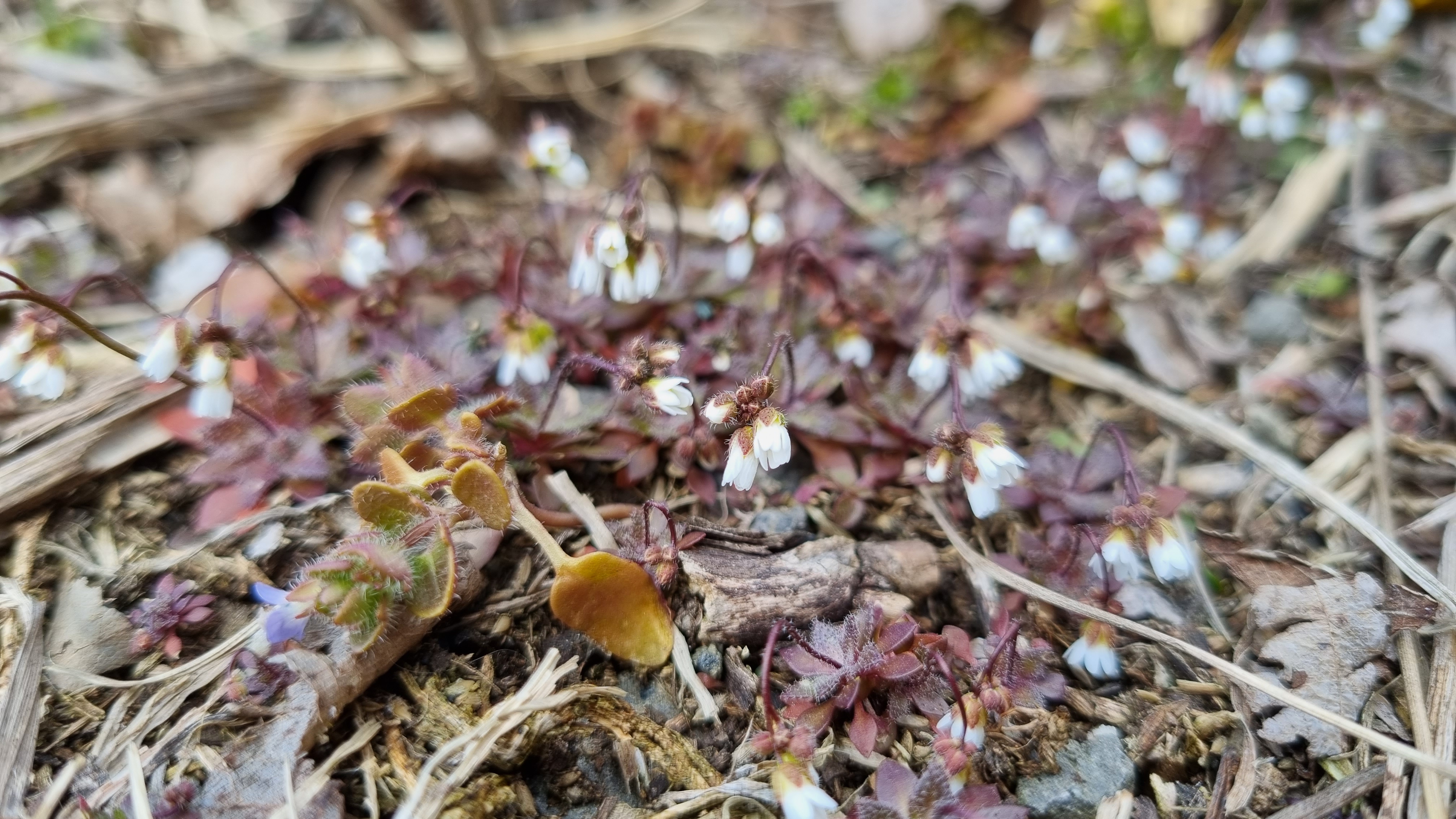 20032022093109 4144 art 1799 20220308 120450