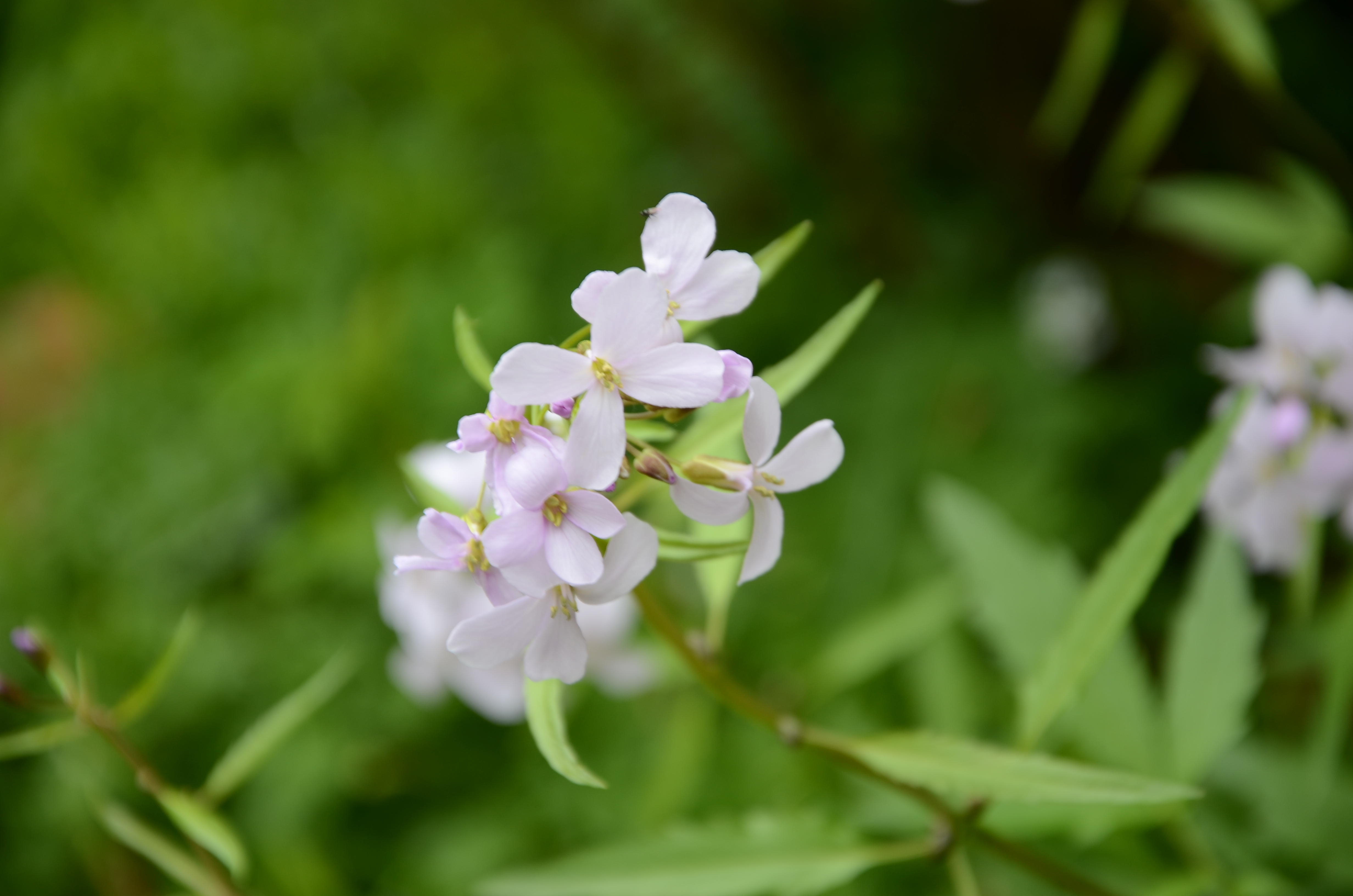 20042014181713 2327 art 1471 dsc 3309