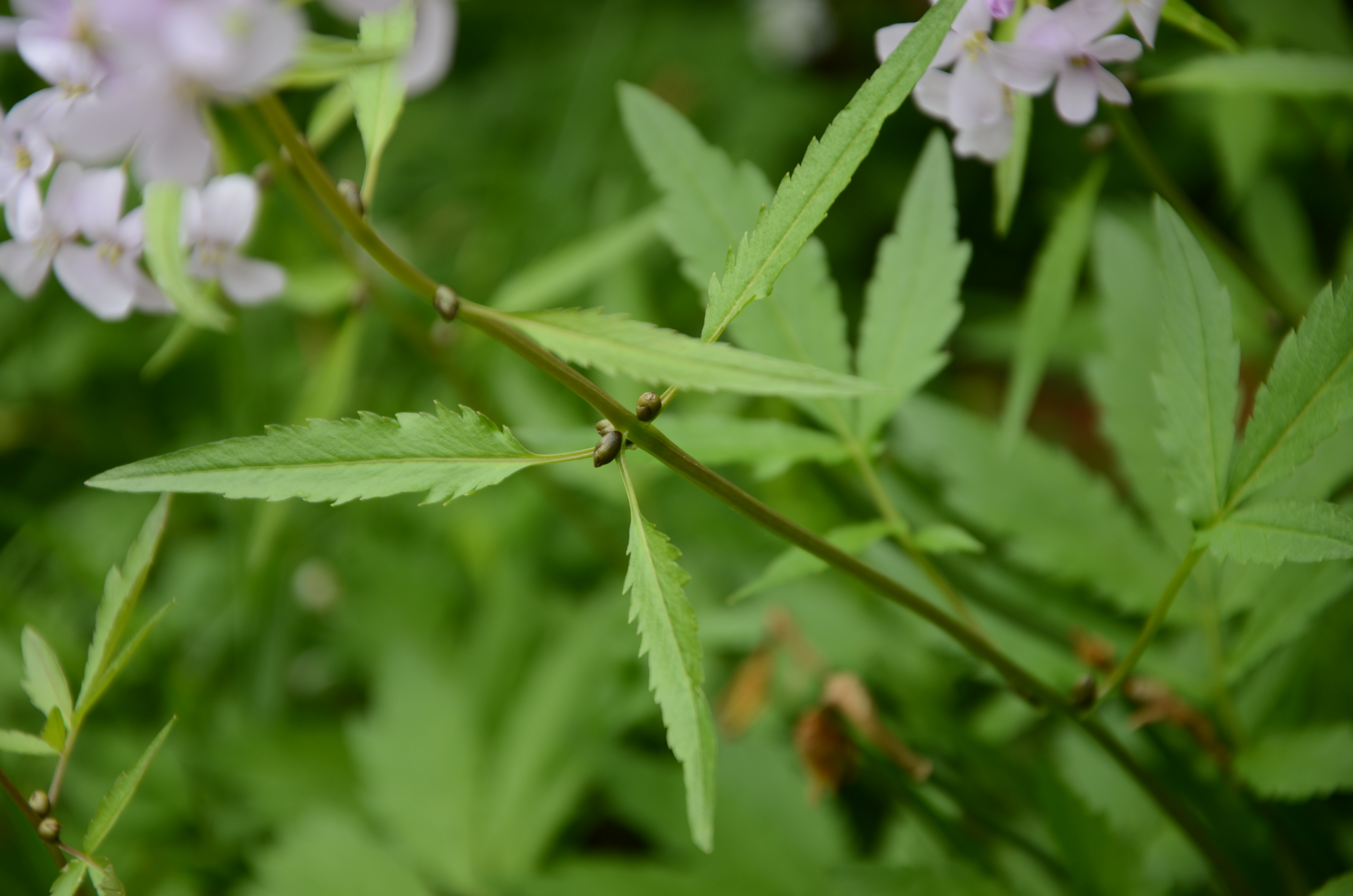 20042014181903 2328 art 1471 dsc 3313