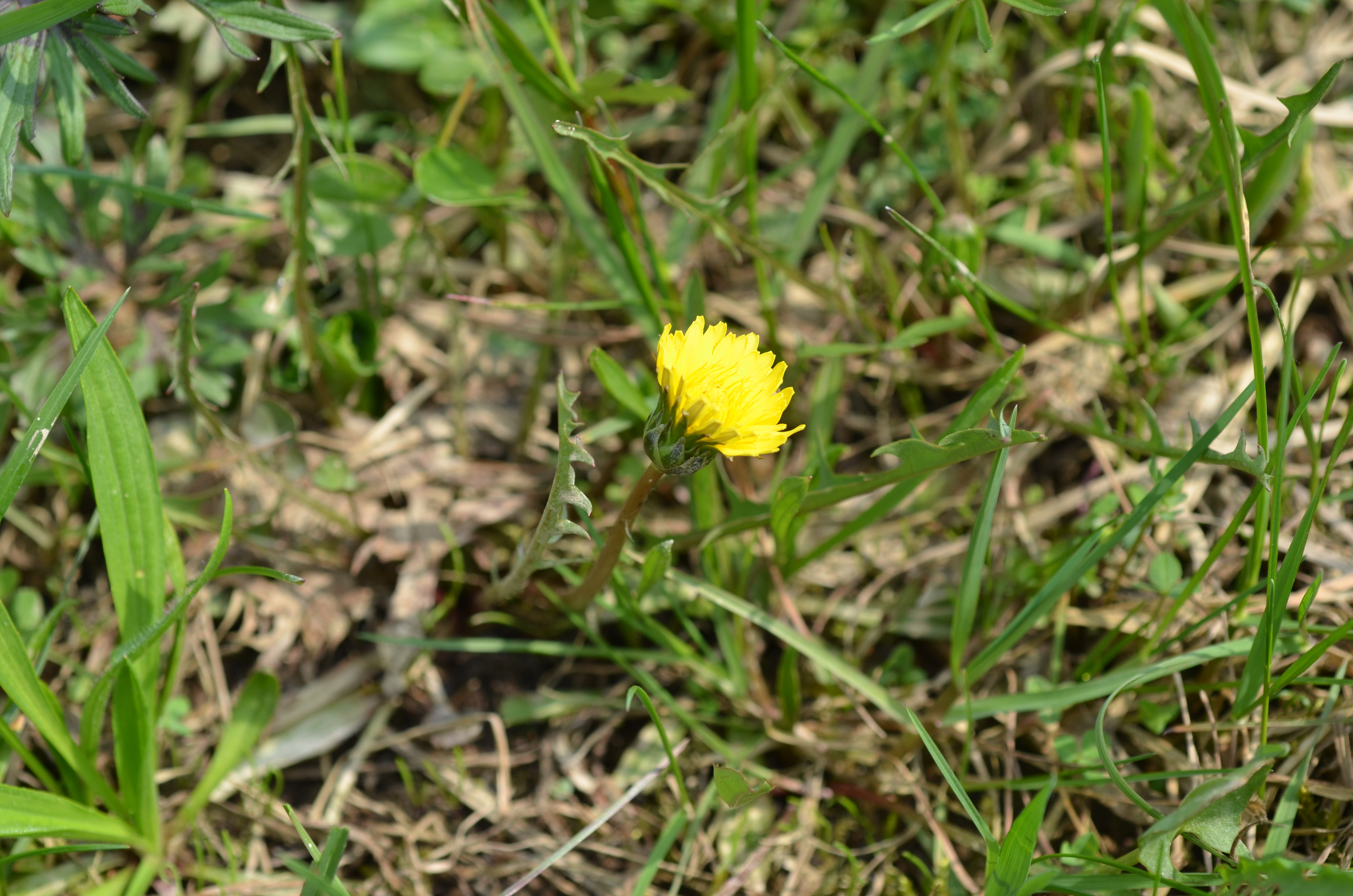 20042014183214 2329 art 1472 dsc 3018