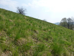 20052013092418 577 lebensraum 1124 p1000813