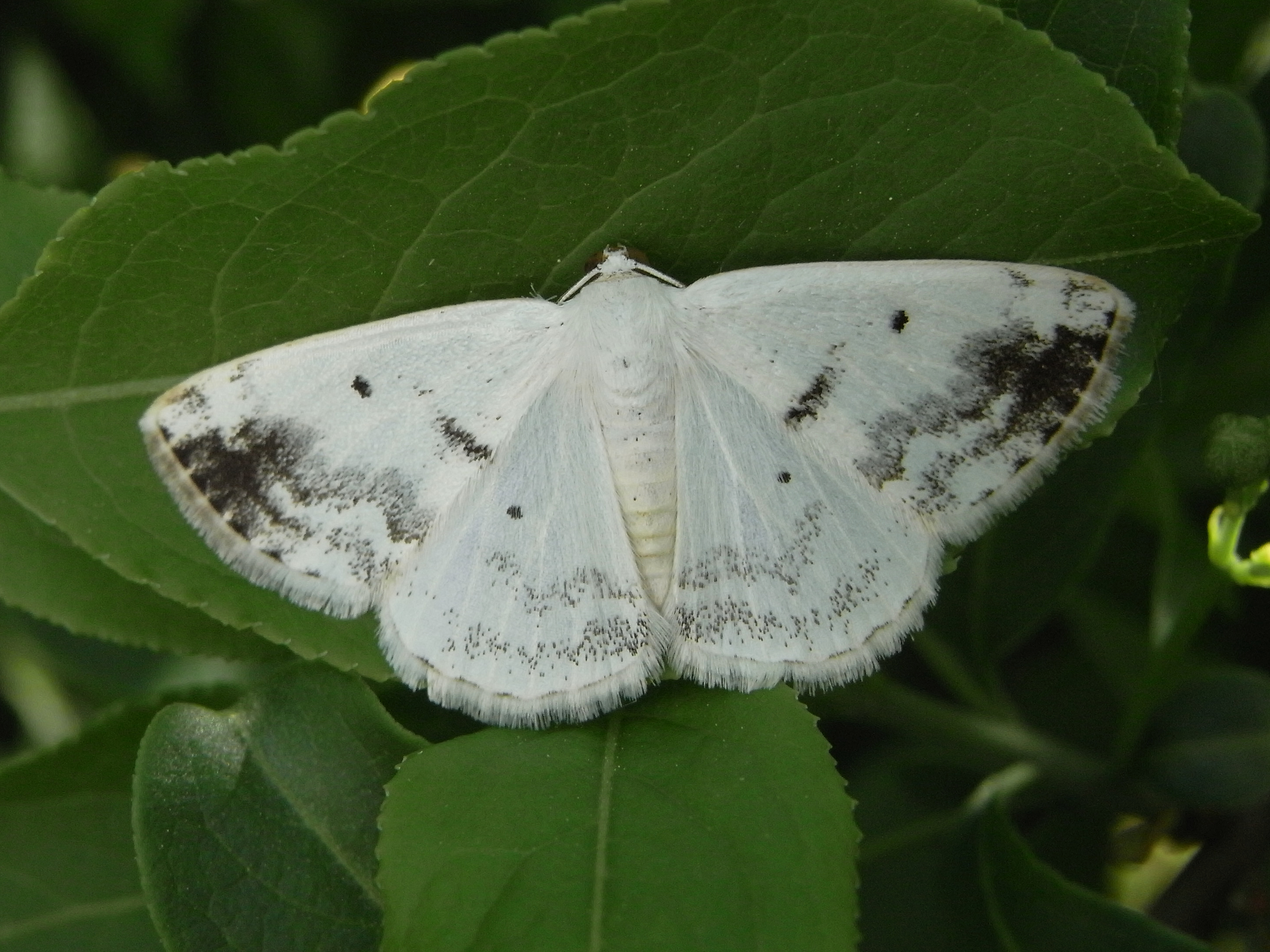 20052013101219 581 art 382 rimg0084